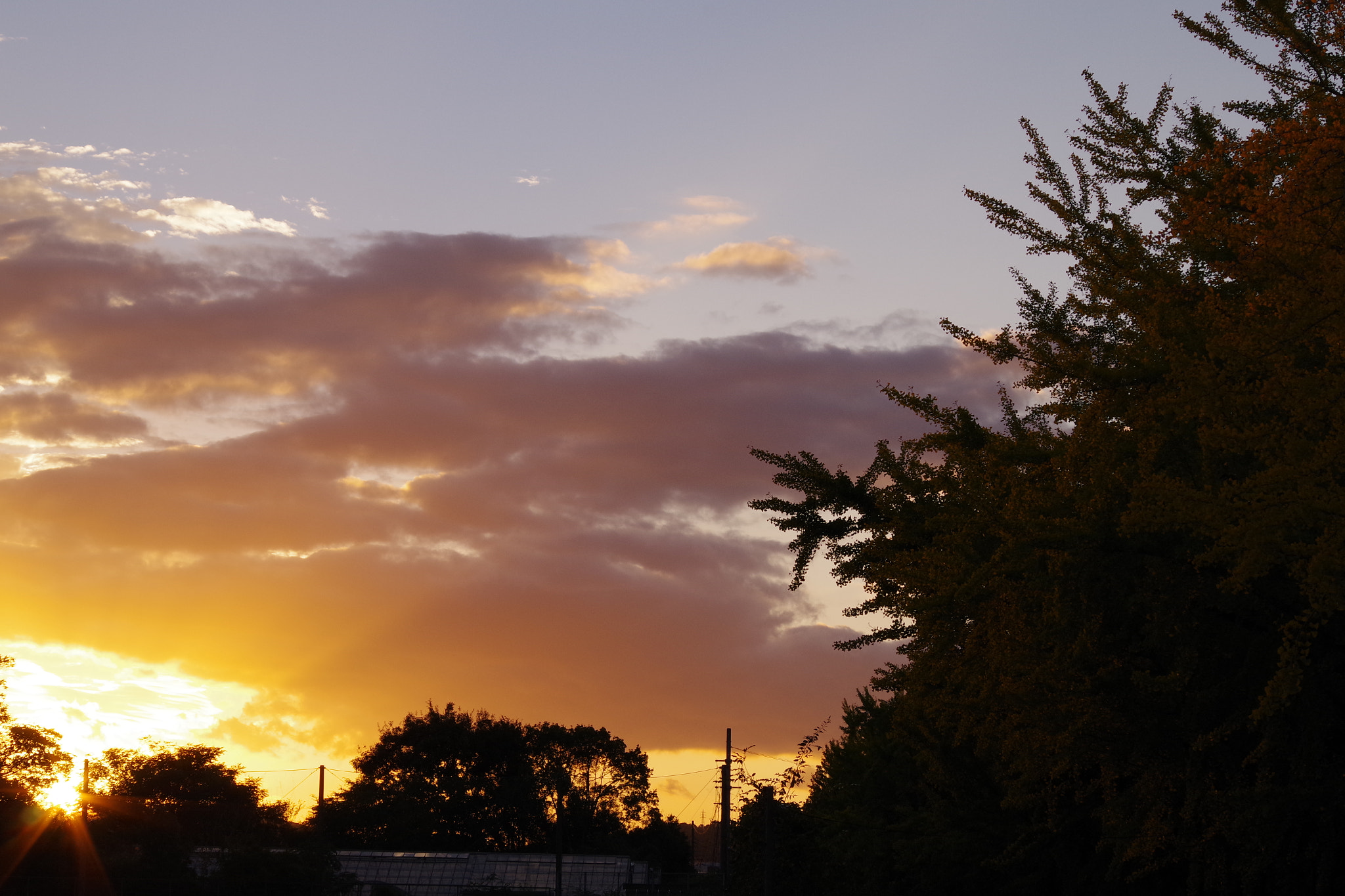 smc PENTAX-DA L 50-200mm F4-5.6 ED sample photo. Sunset photography