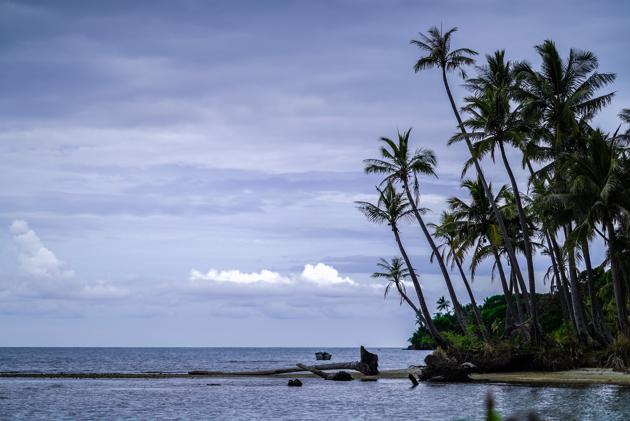 Sony FE 85mm F1.4 GM sample photo. Pouebo seaside, new caledonia. photography