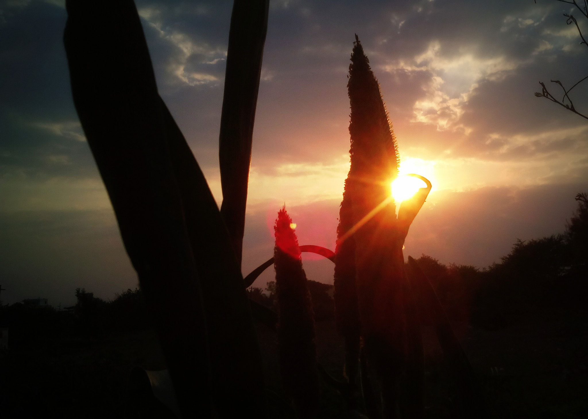 Micromax Canvas A1 sample photo