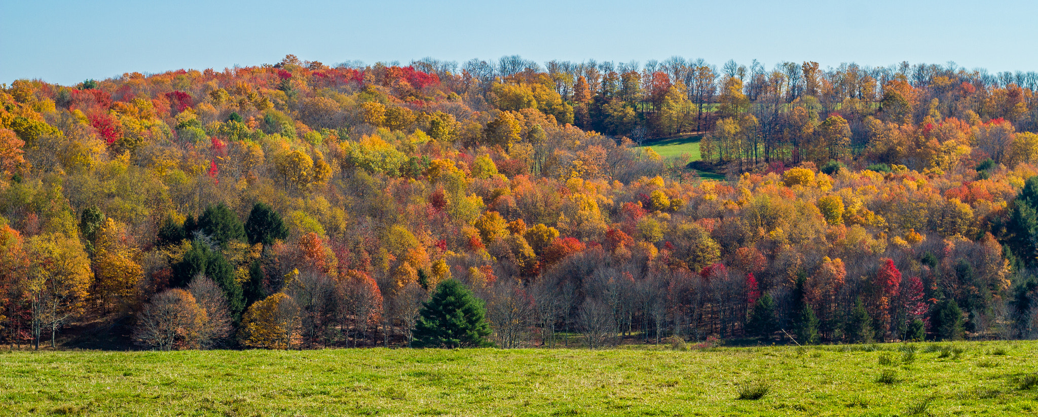 Canon EOS 550D (EOS Rebel T2i / EOS Kiss X4) sample photo. Autumn hillside photography