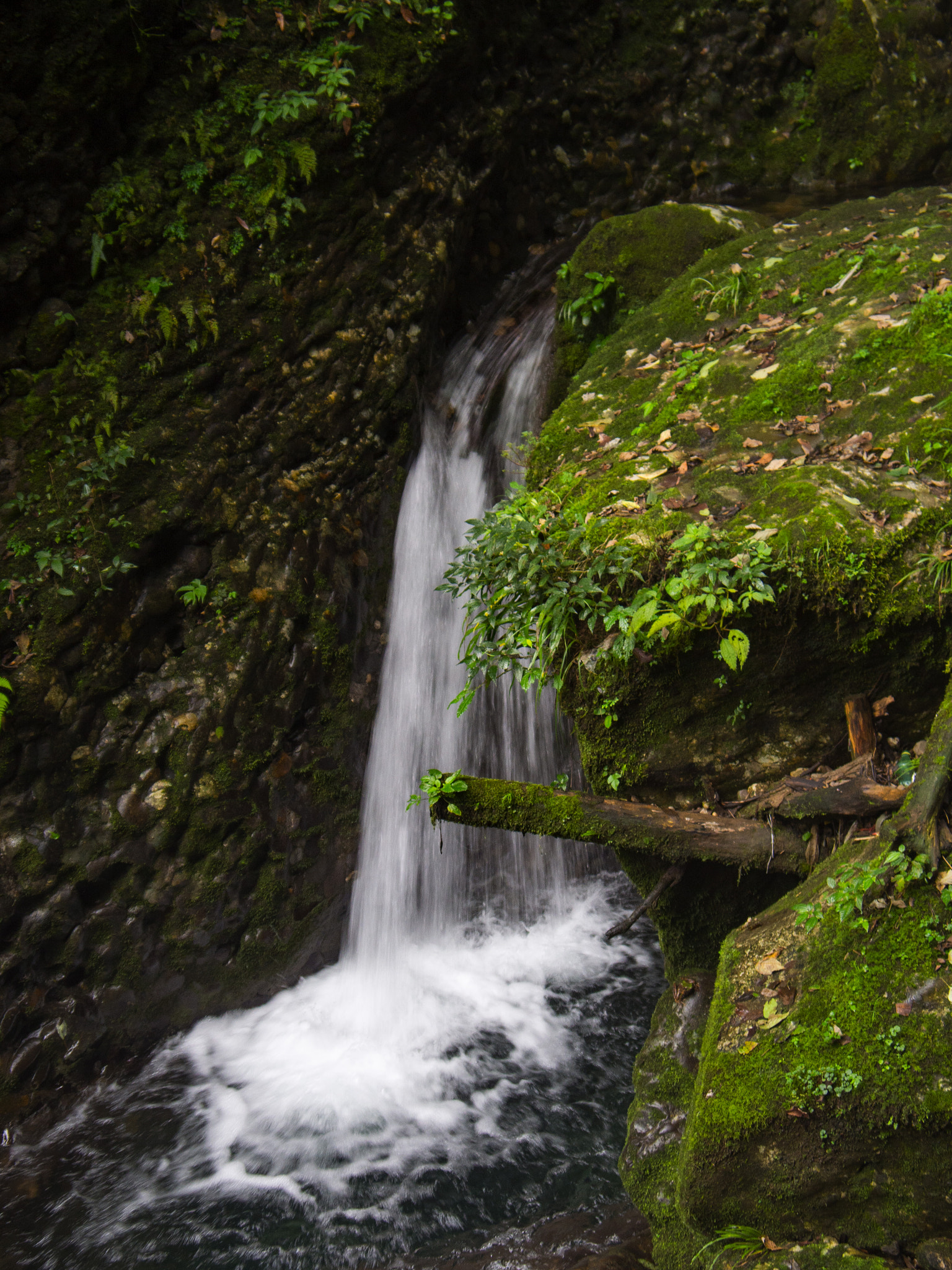 Olympus PEN E-PL6 sample photo. 喧嚣 photography