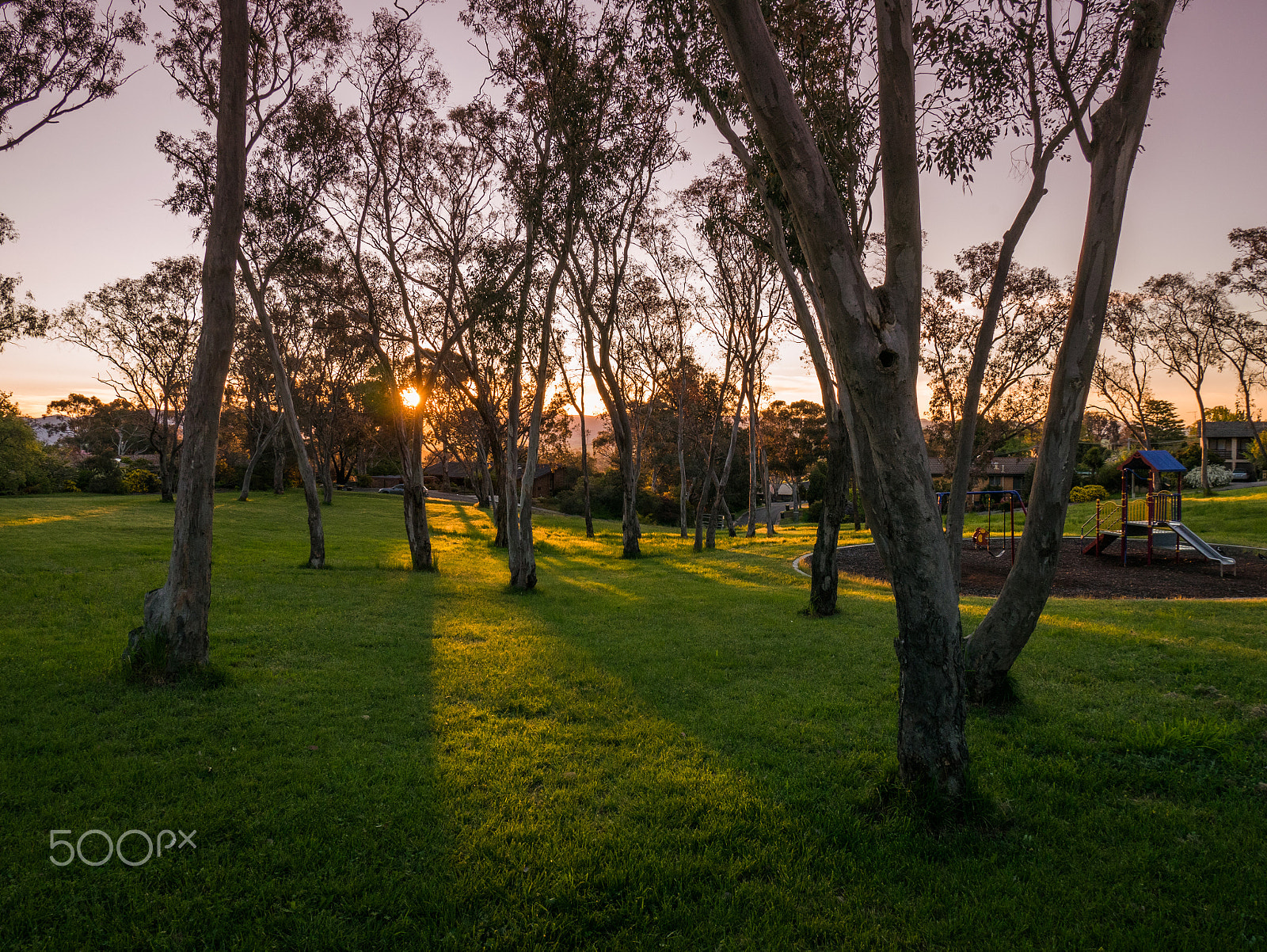 Panasonic DMC-GM1S sample photo. Path to the sun photography