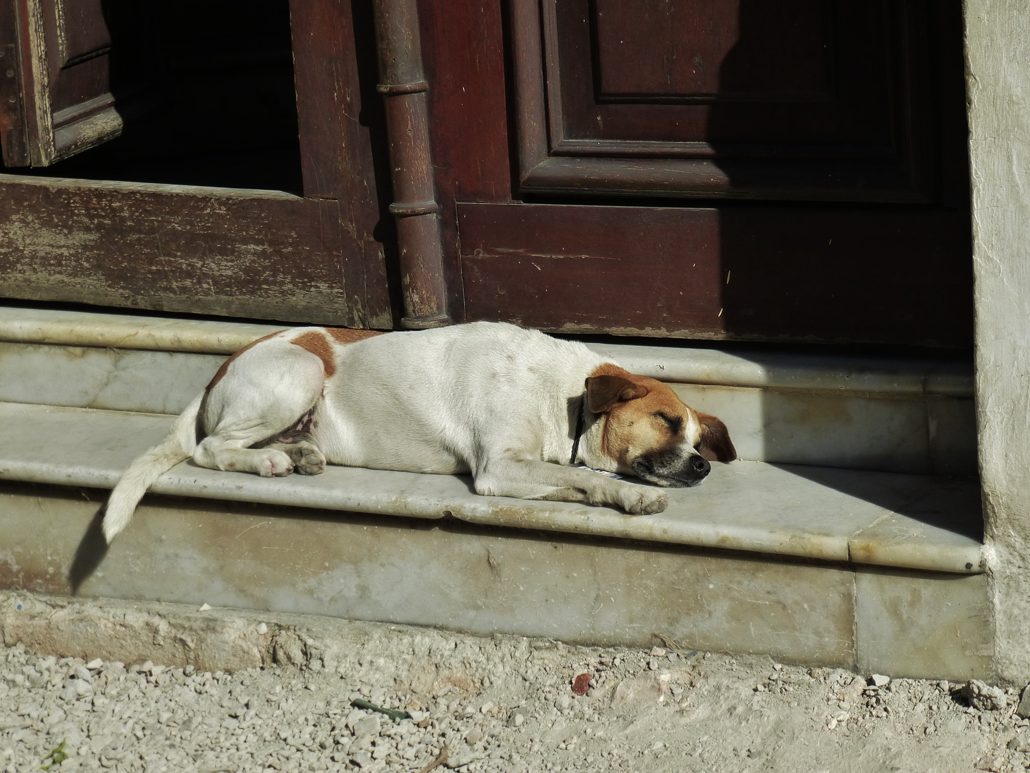 Panasonic Lumix DMC-ZS15 (Lumix DMC-TZ25) sample photo. A nap in havana. photography