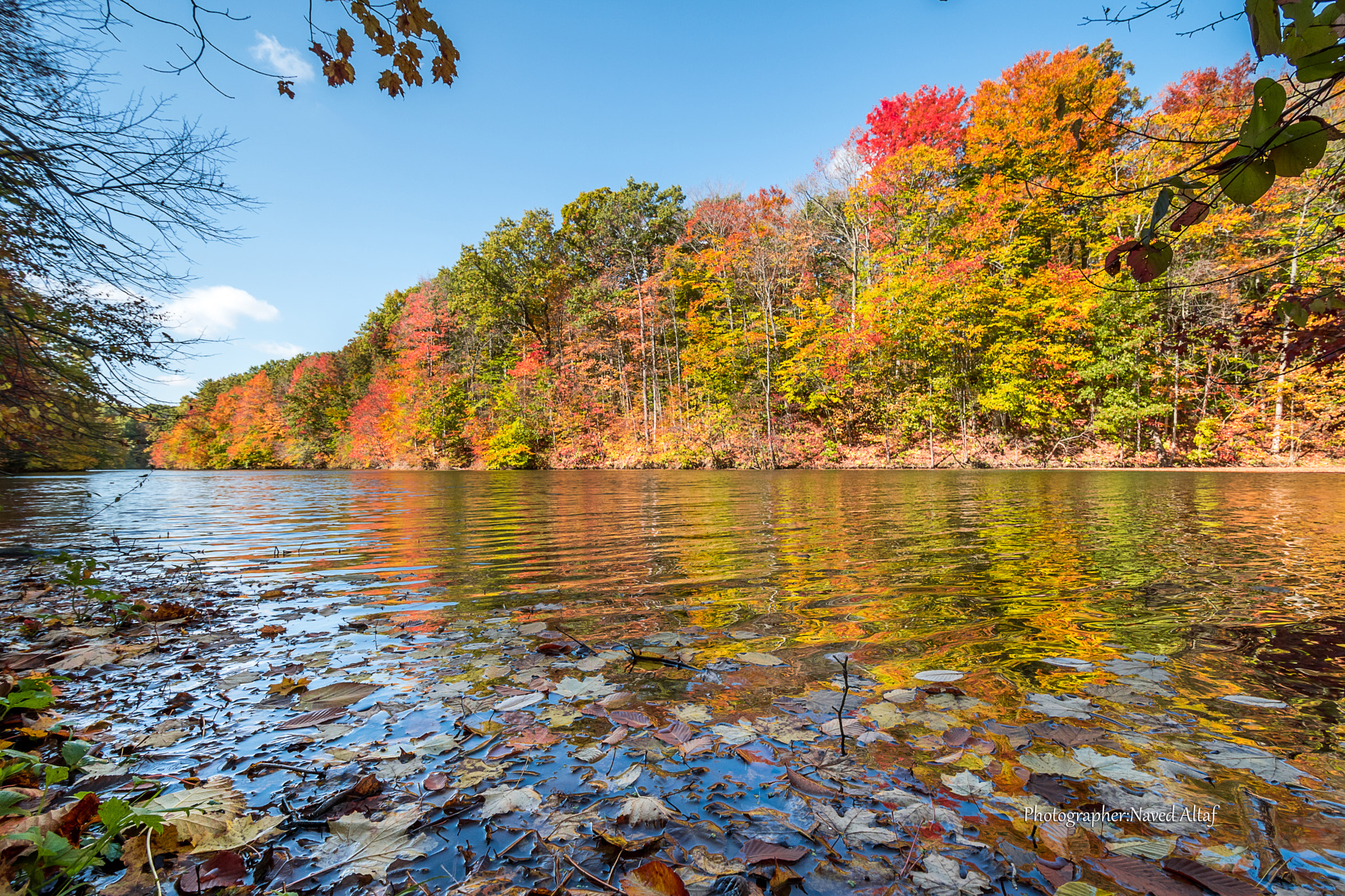 Nikon D500 sample photo. Autumn reflection! photography
