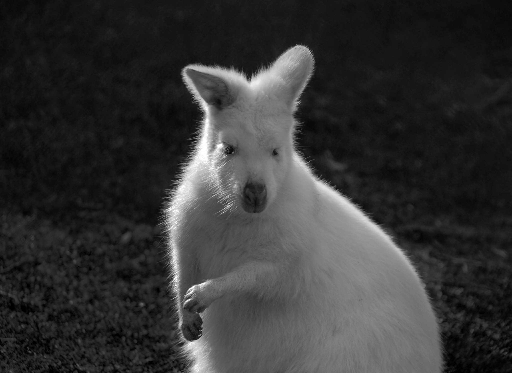 Nikon D200 + Sigma 18-200mm F3.5-6.3 DC sample photo. ~ modelling with this cutie ~ photography