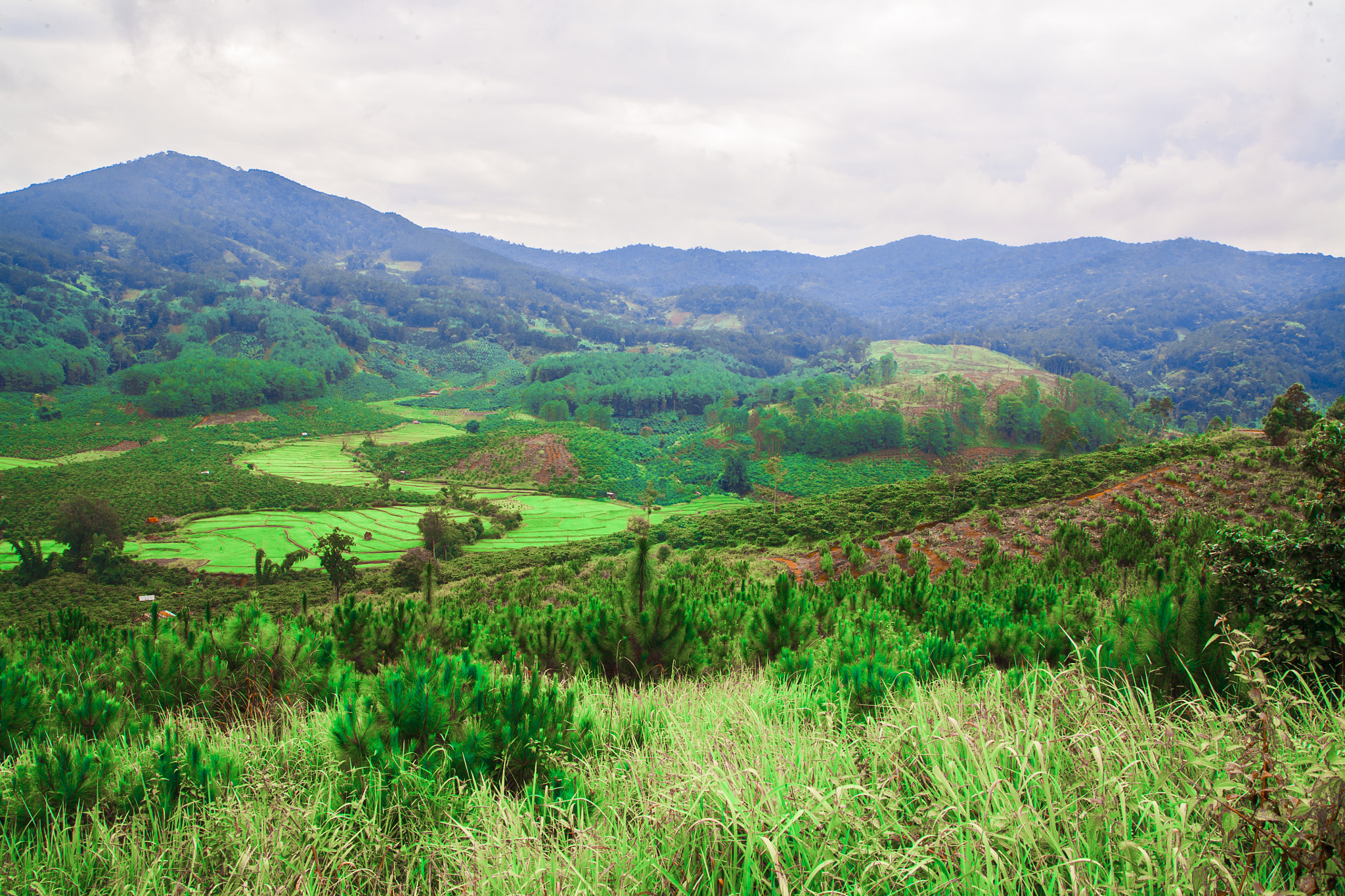 Canon EF 28-80mm f/3.5-5.6 USM sample photo. Plateau photography