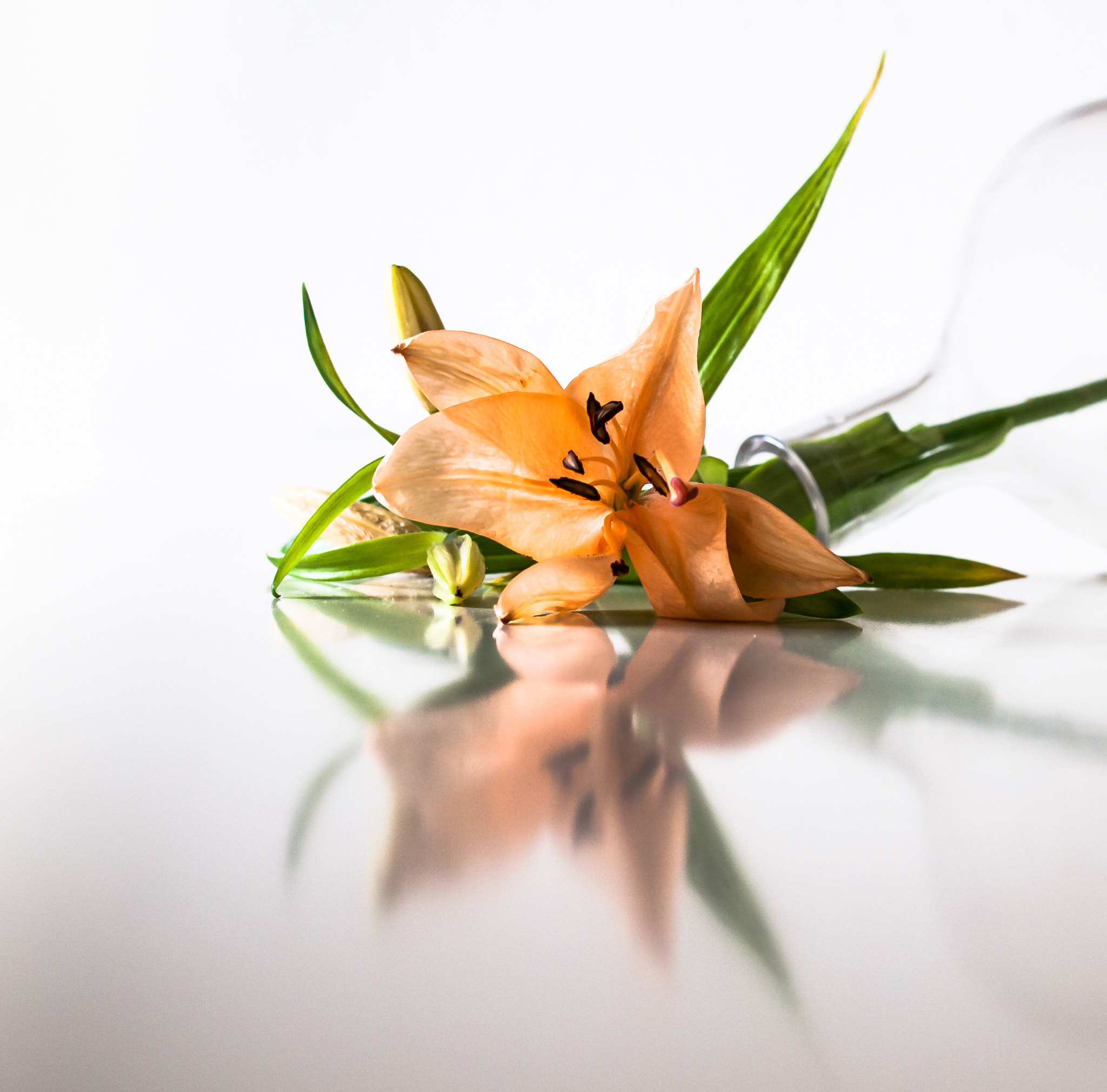 Nikon D300S sample photo. Oops photography