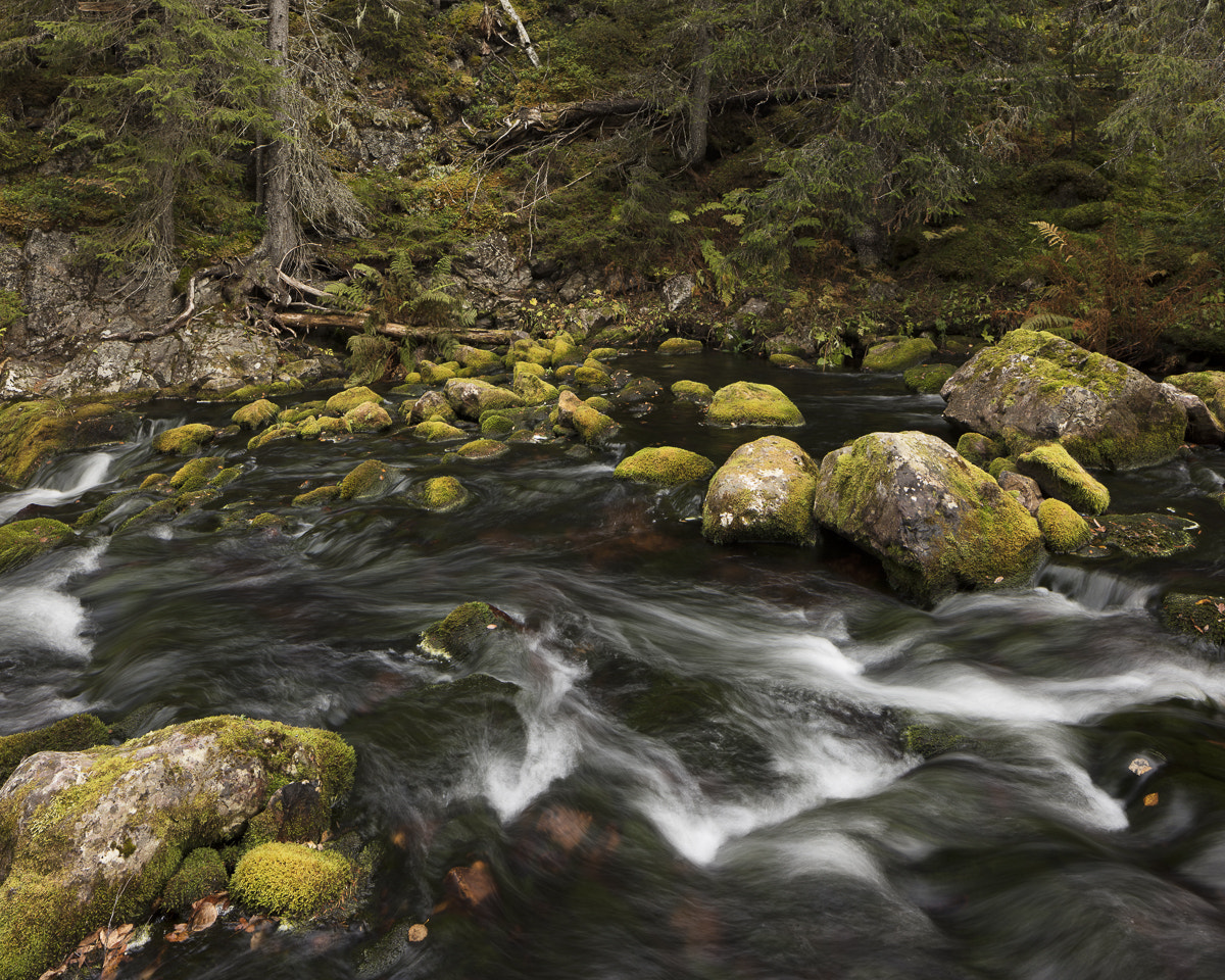Canon TS-E 24.0mm f/3.5 L II sample photo. Fulufjället höst vi photography