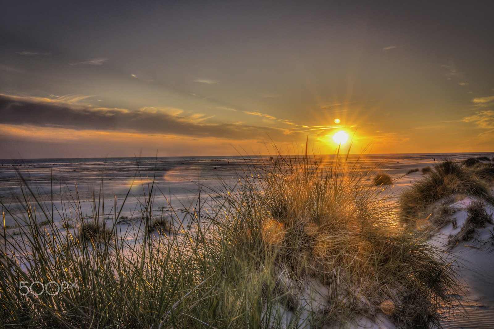 Tokina AT-X Pro 12-24mm F4 (IF) DX sample photo. Amrum dunes photography