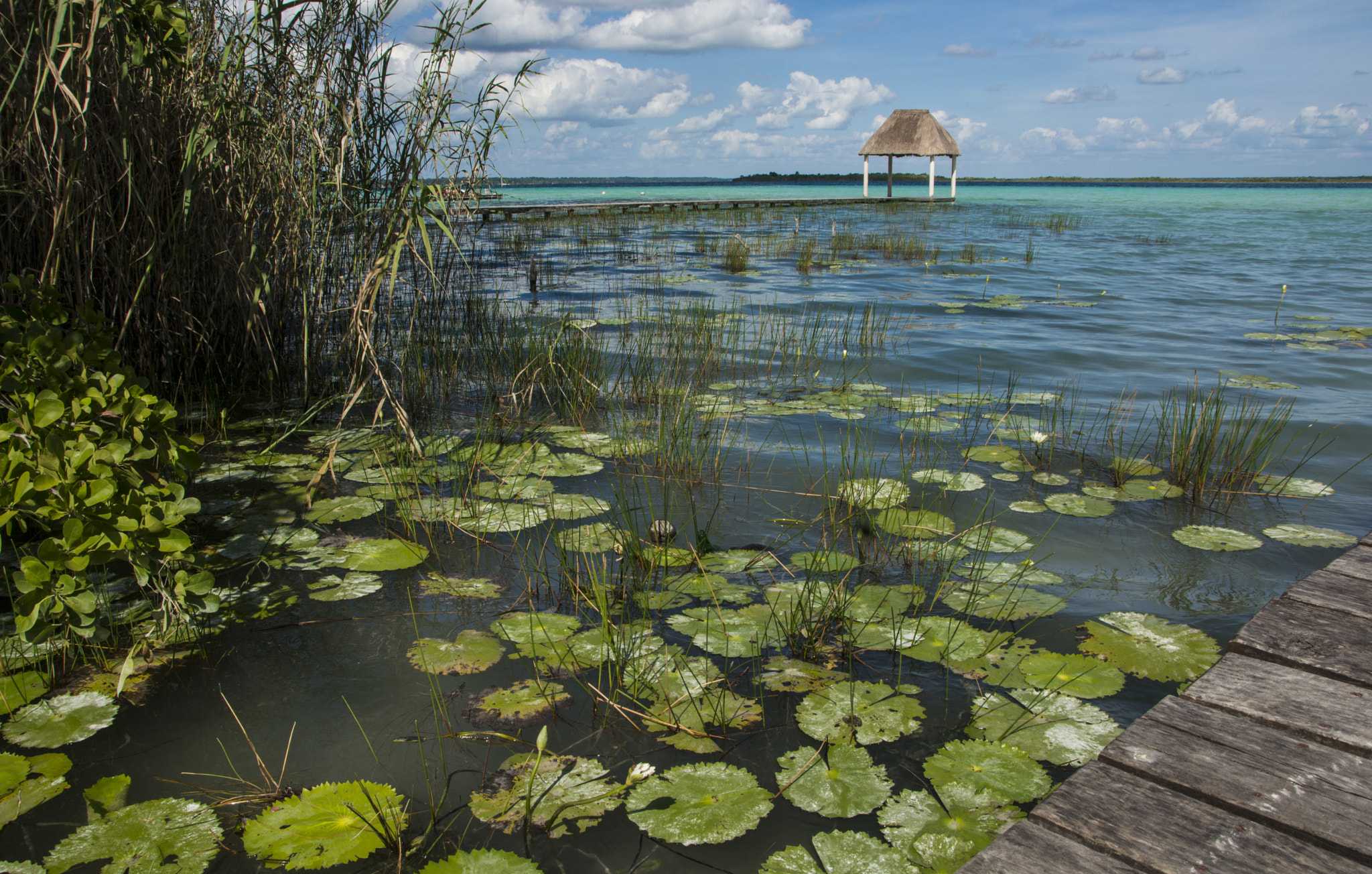 Sigma 18-250mm F3.5-6.3 DC OS HSM sample photo. Bacalar, méxico photography