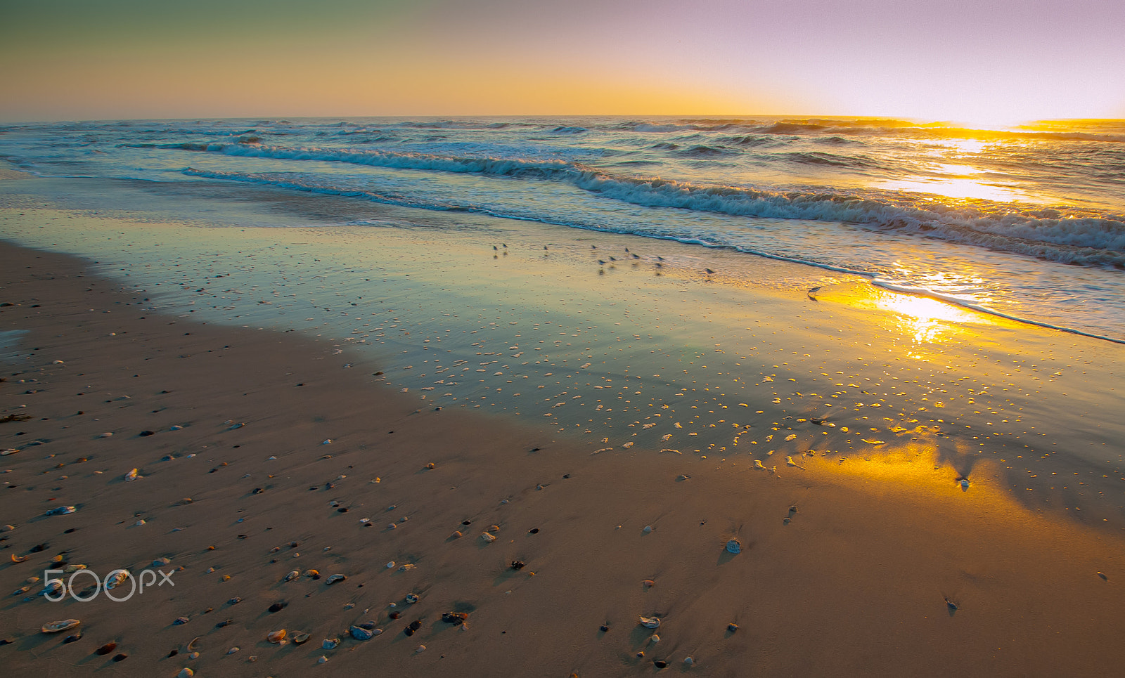 Olympus Zuiko Digital ED 9-18mm F4.0-5.6 sample photo. Sunrise at chincoteague photography