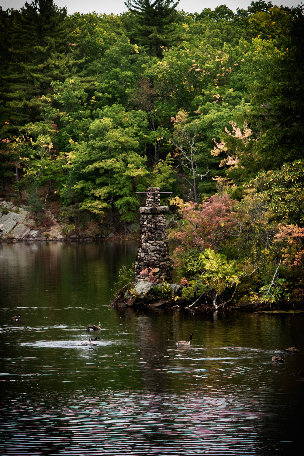 Nikon AF-S Nikkor 24-120mm F4G ED VR sample photo. Island point photography