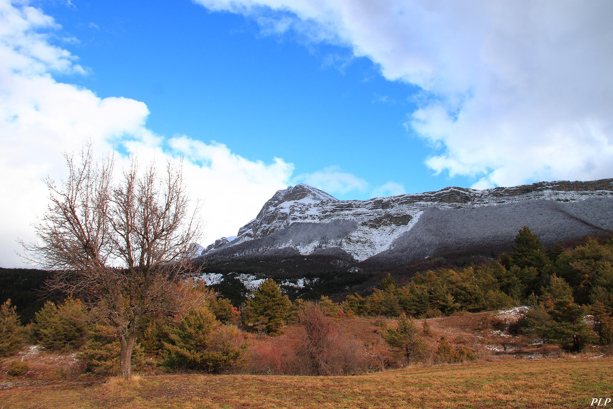 Canon EF-S 18-135mm F3.5-5.6 IS sample photo. Pic du couard photography