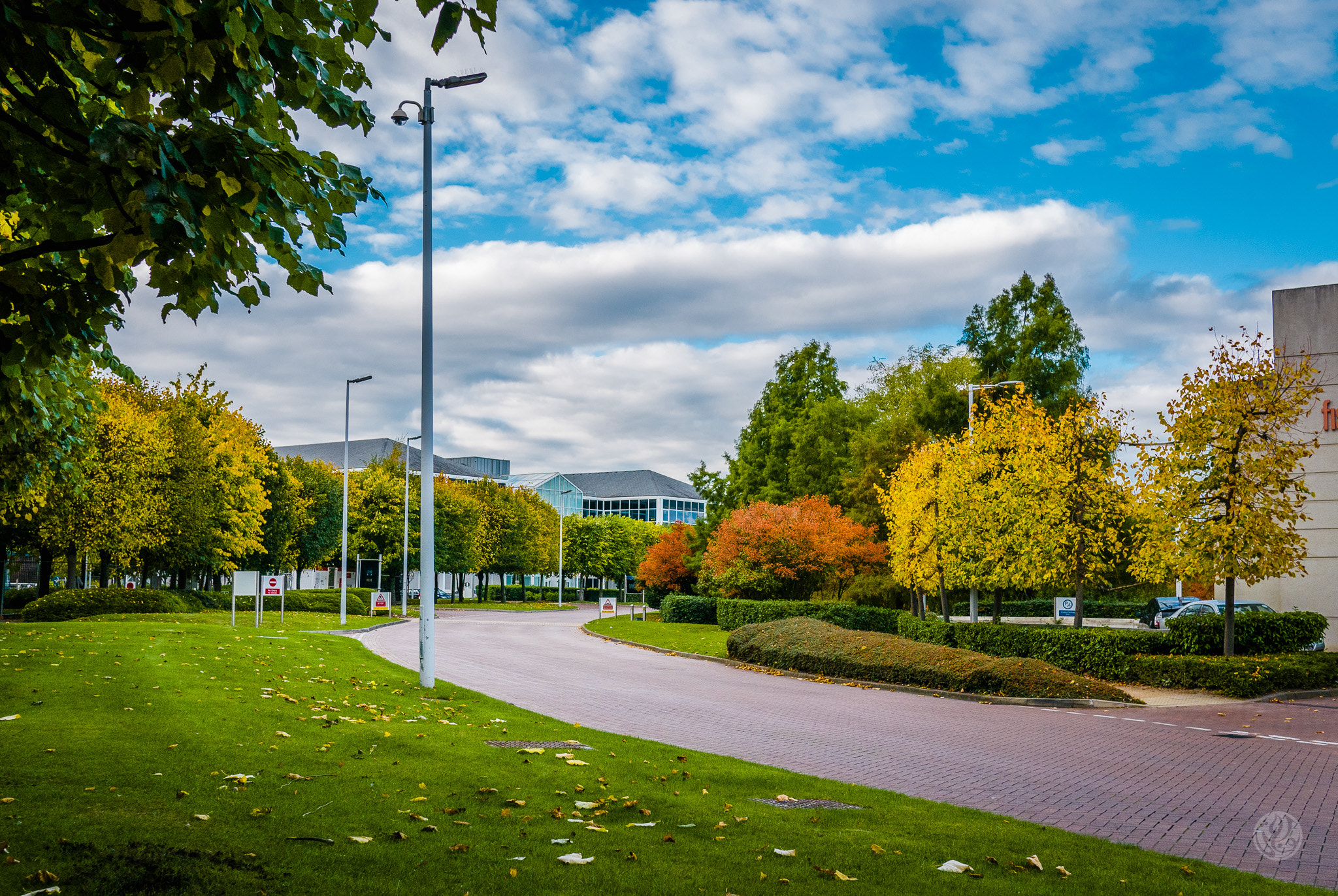 Panasonic Lumix DMC-GM1 + LUMIX G 20/F1.7 II sample photo. Autumn is here photography