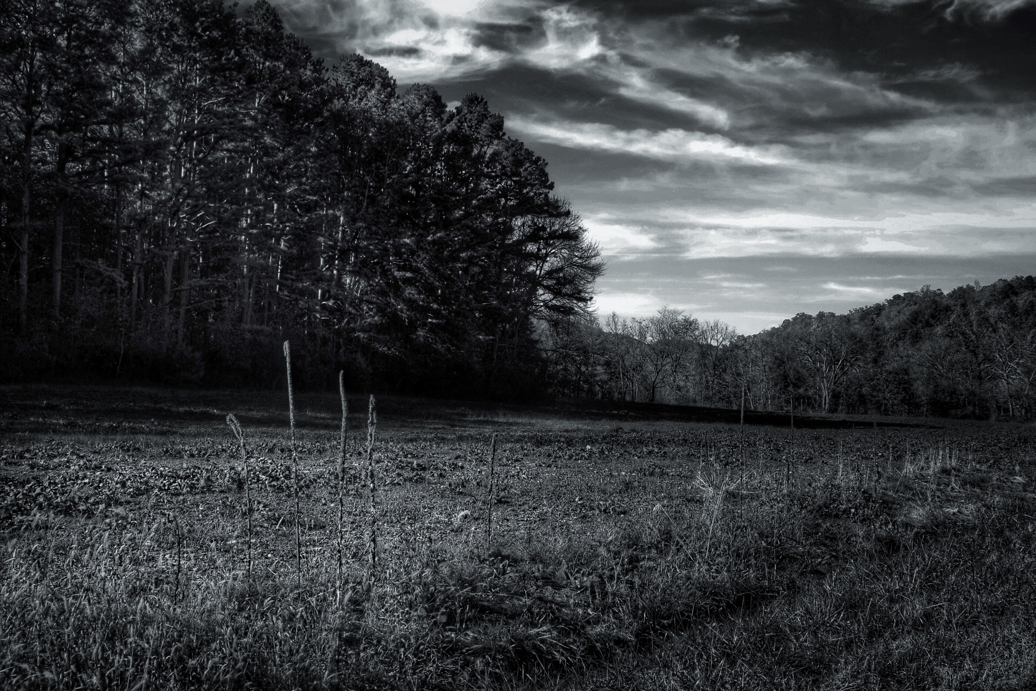 Tamron AF 28-200mm F3.8-5.6 XR Di Aspherical (IF) Macro sample photo. Caney mountain wildlife refuge photography