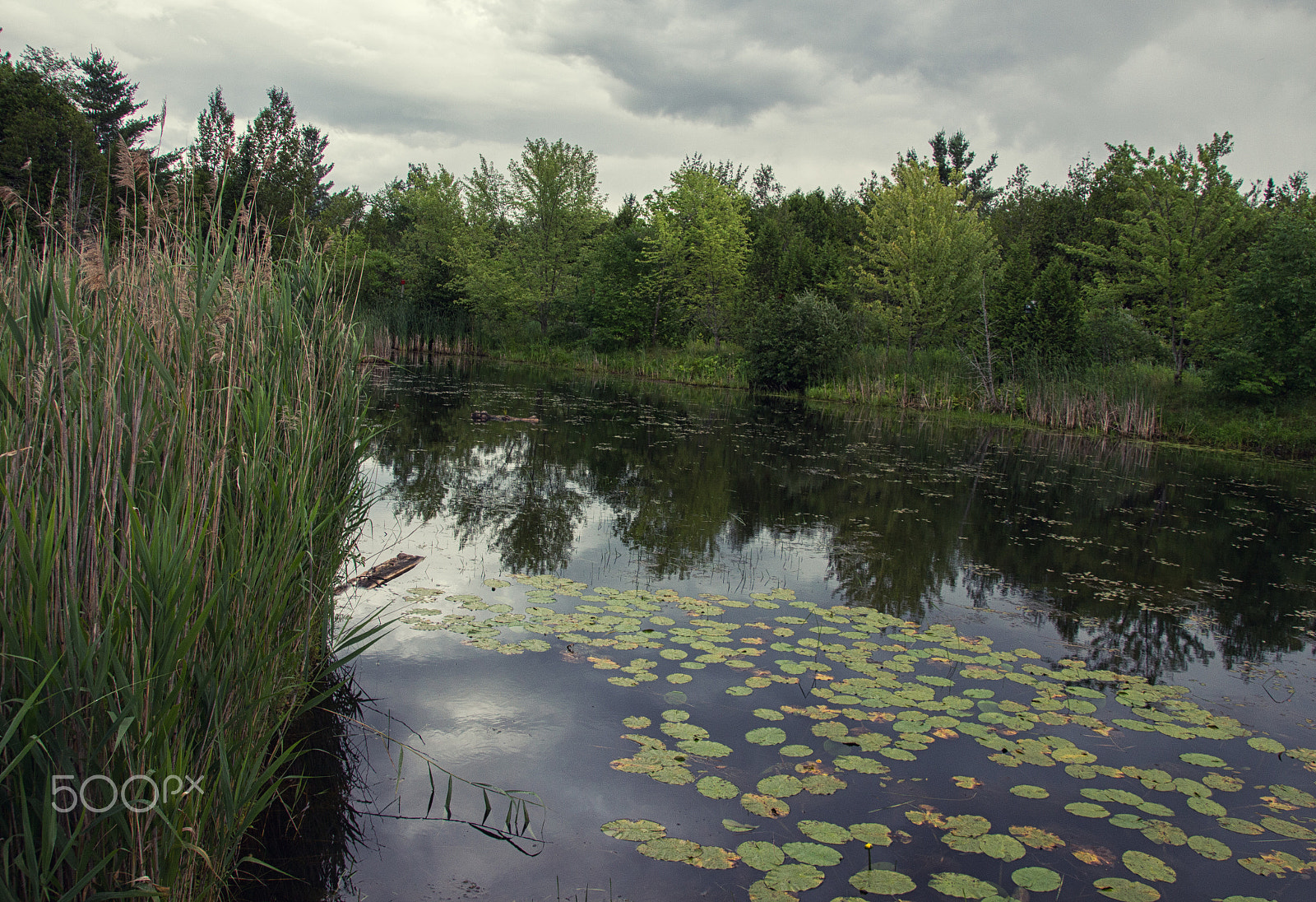 Canon EOS 650D (EOS Rebel T4i / EOS Kiss X6i) sample photo. Magog photography