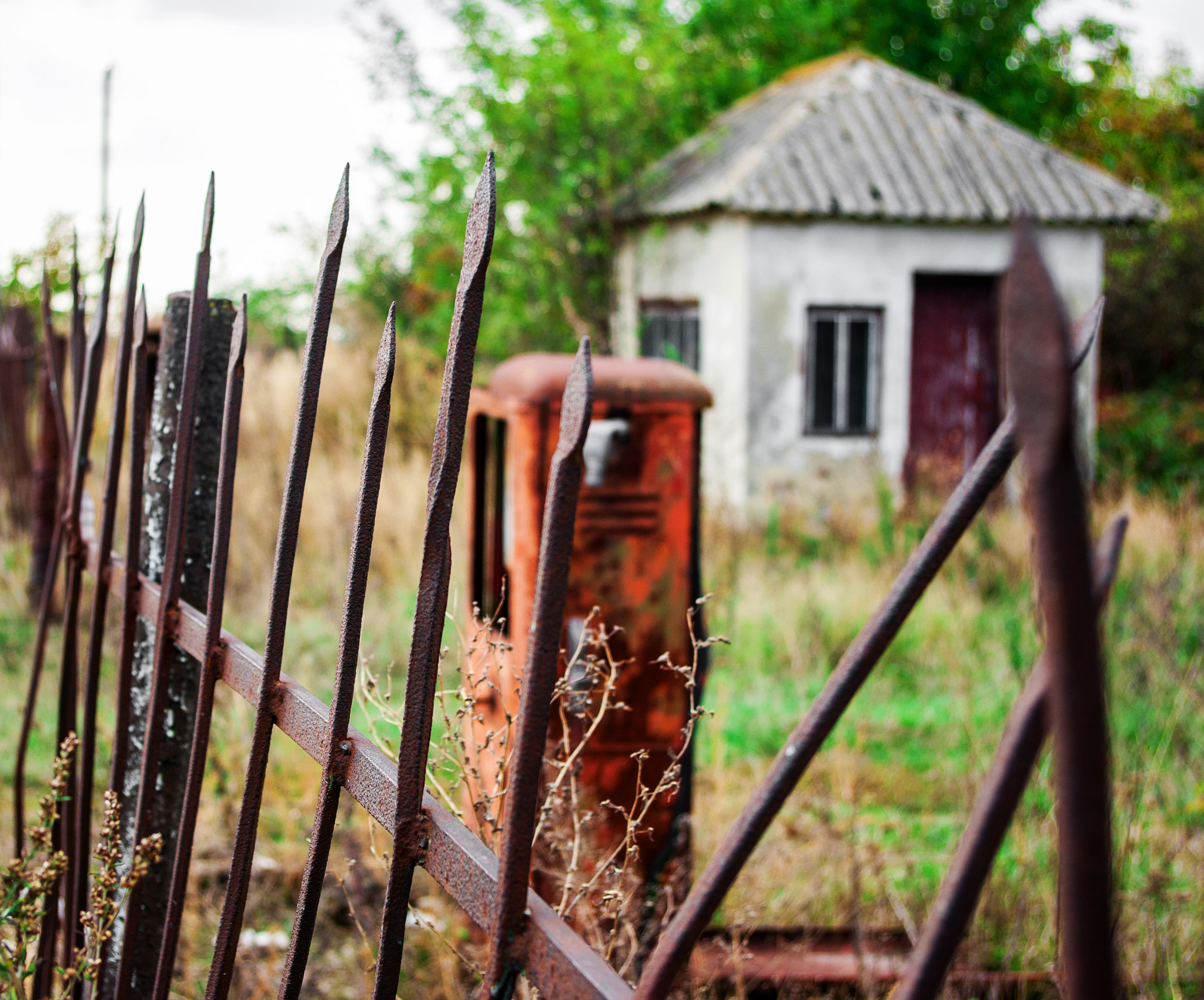 Pentax smc DA 18-55mm F3.5-5.6 ED AL II (IF) sample photo. Rusty metal fence rods sharp photography