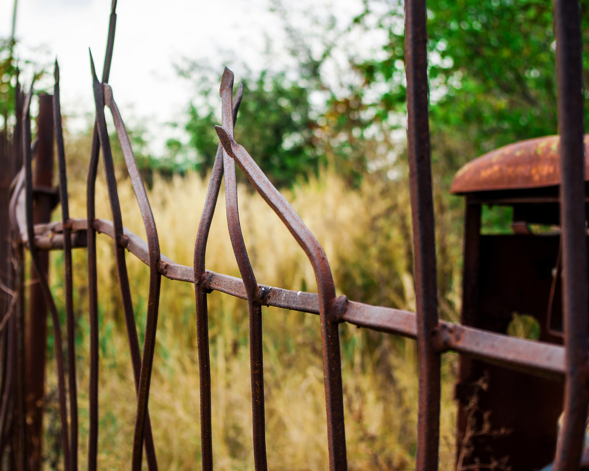 Pentax smc DA 18-55mm F3.5-5.6 ED AL II (IF) sample photo. Rusty metal fence rods sharp photography