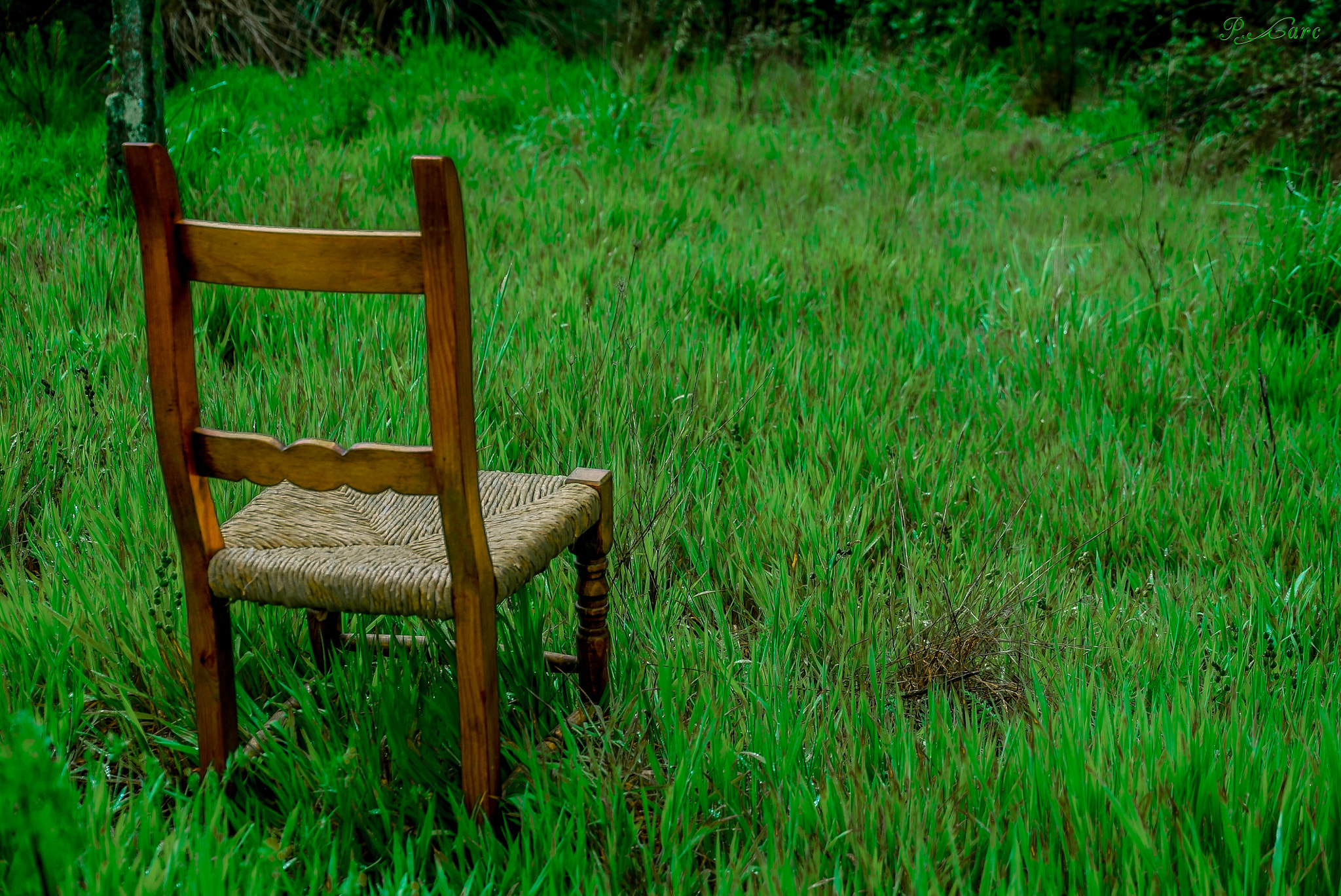 Sony a7S II sample photo. "la soledad enseña más que cualquier compañía" photography