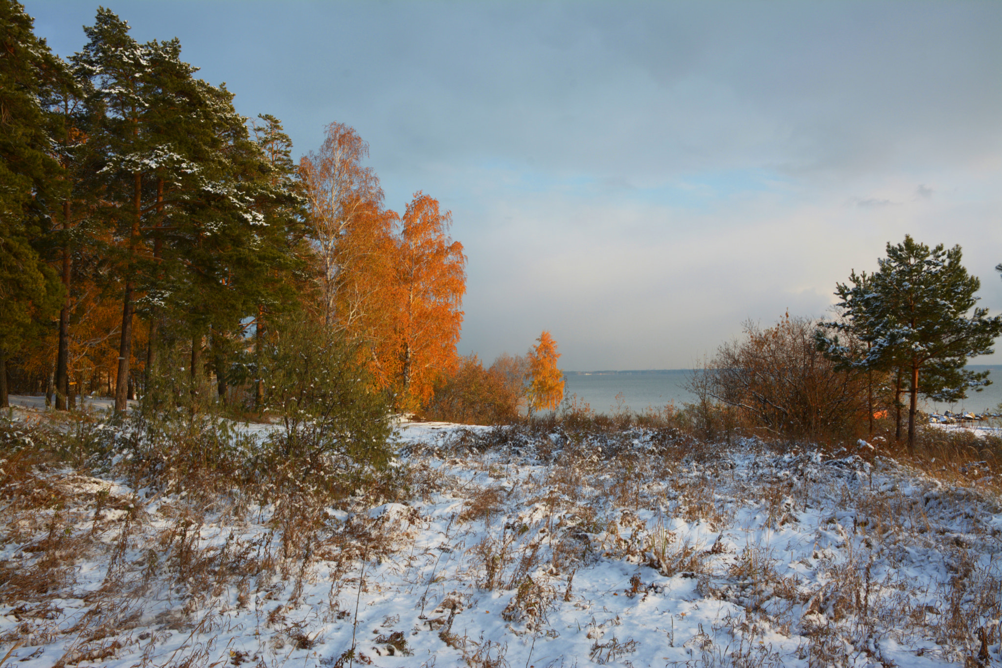 Nikon D7100 sample photo. The autumn and winter photography