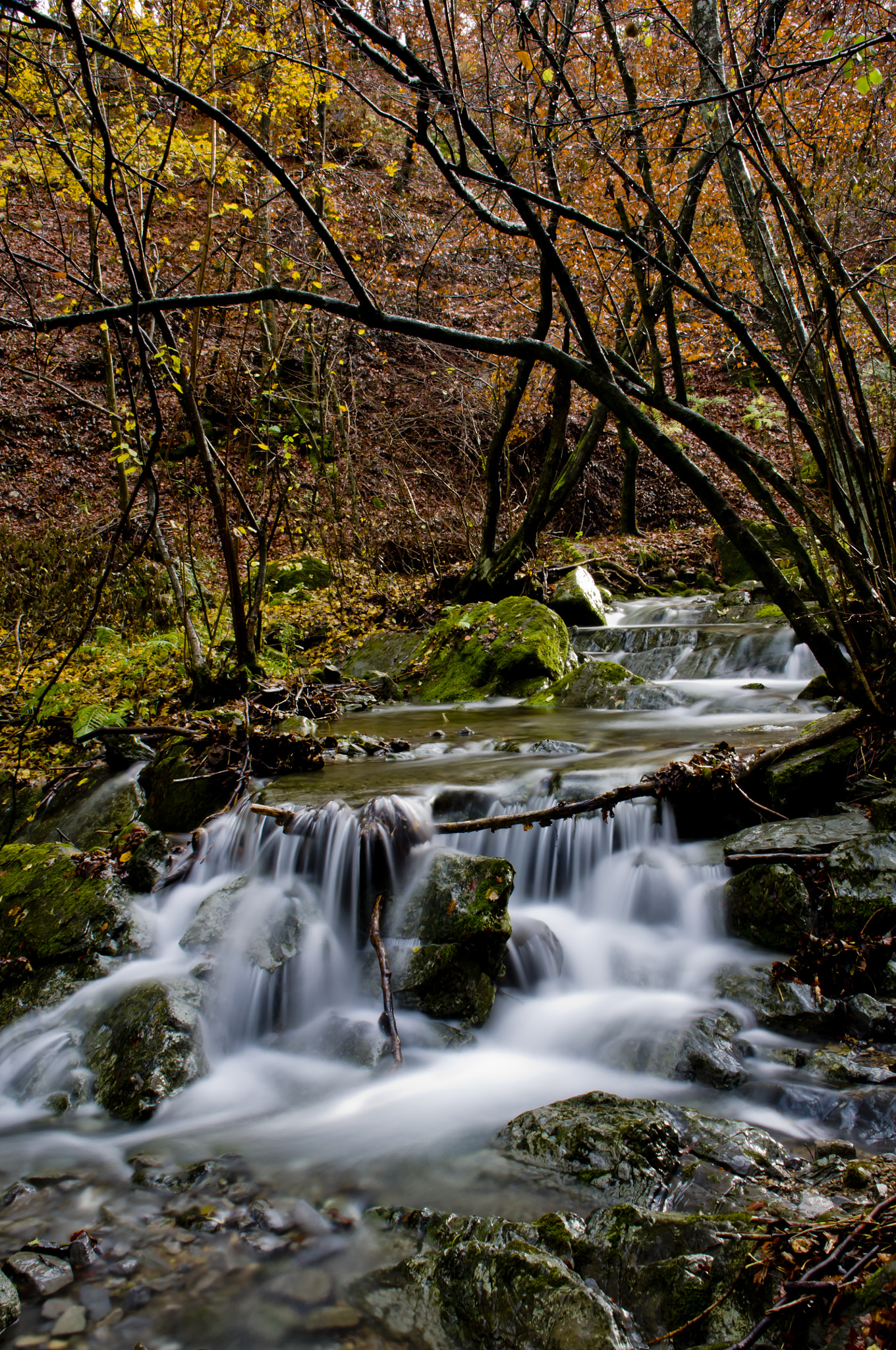 Nikon D5000 sample photo. Autumn photography