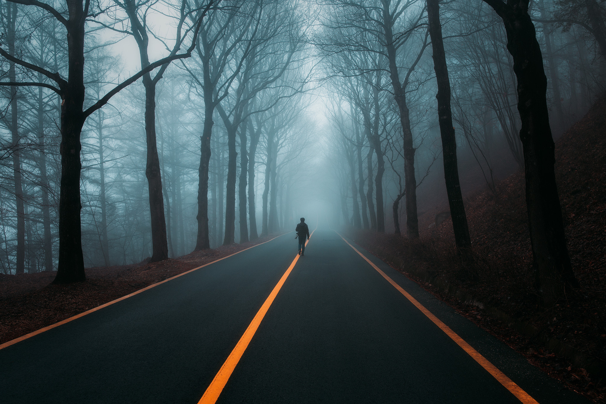 Canon EF 35mm F1.4L II USM sample photo. Hit the road photography