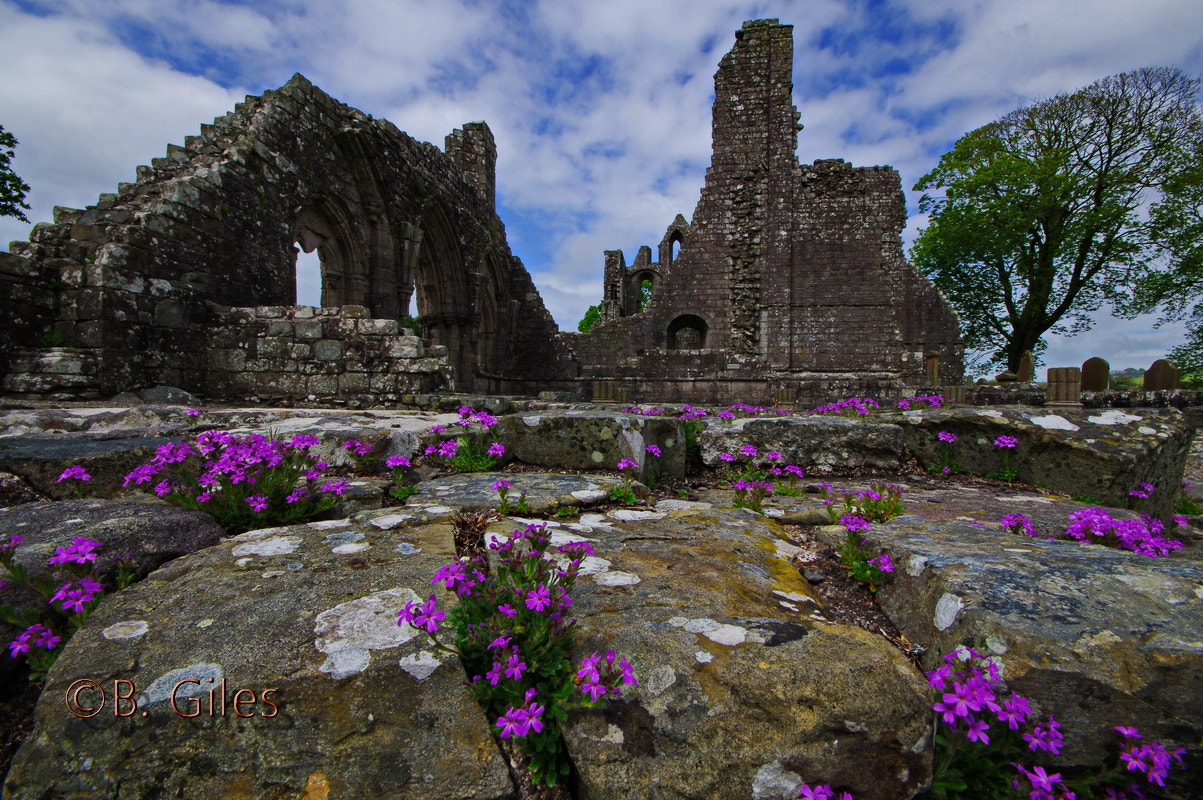 Pentax K-3 sample photo. Dundrennan abbey scotland photography