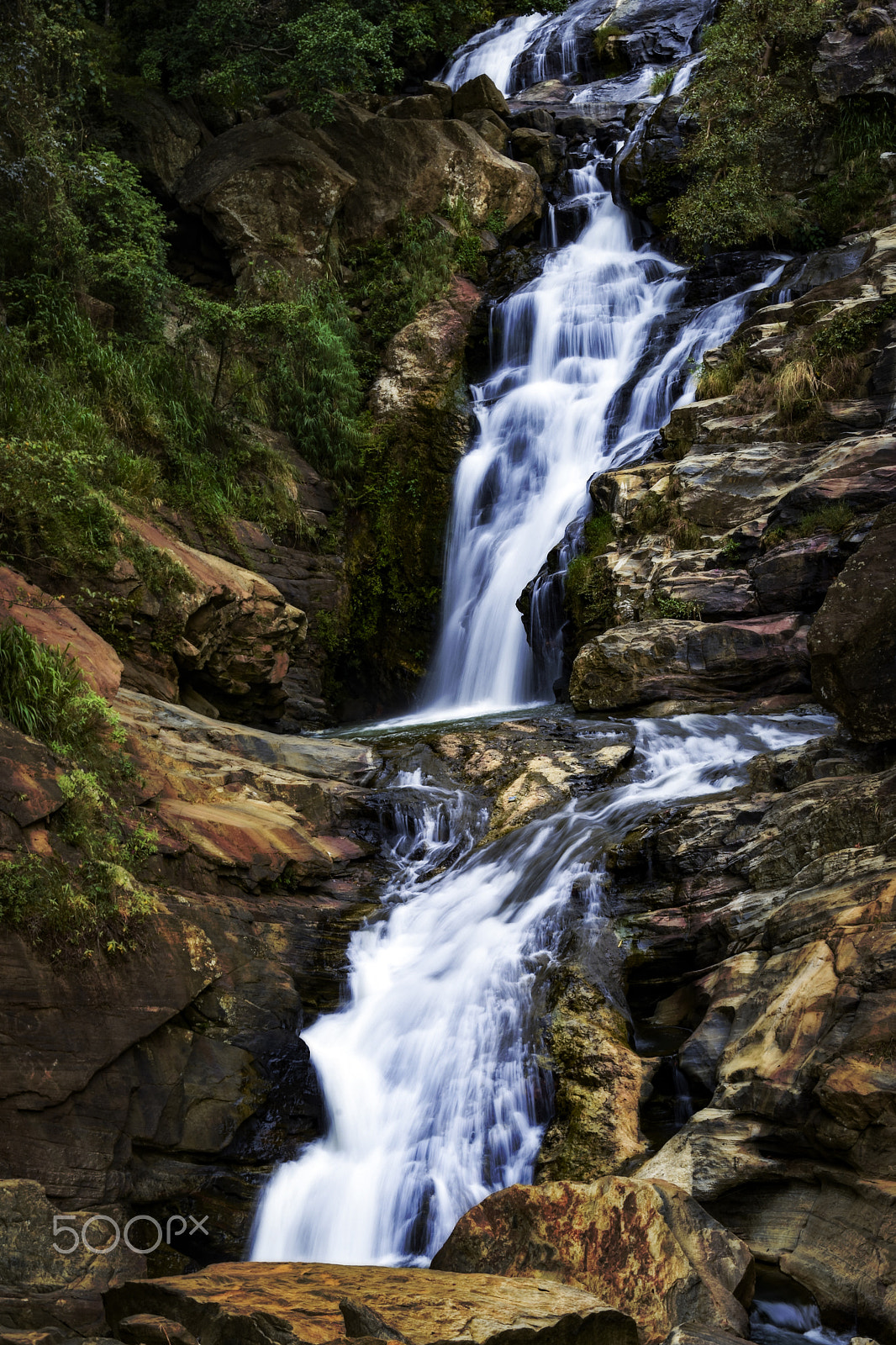 Sigma 18-200mm F3.5-6.3 DC OS HSM sample photo. Faling freely photography