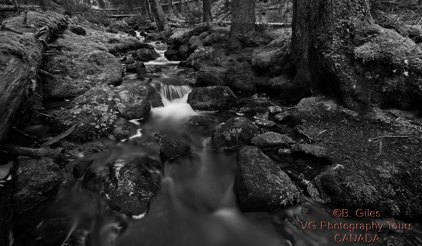 Sigma AF 10-20mm F4-5.6 EX DC sample photo. Early morning stream photography