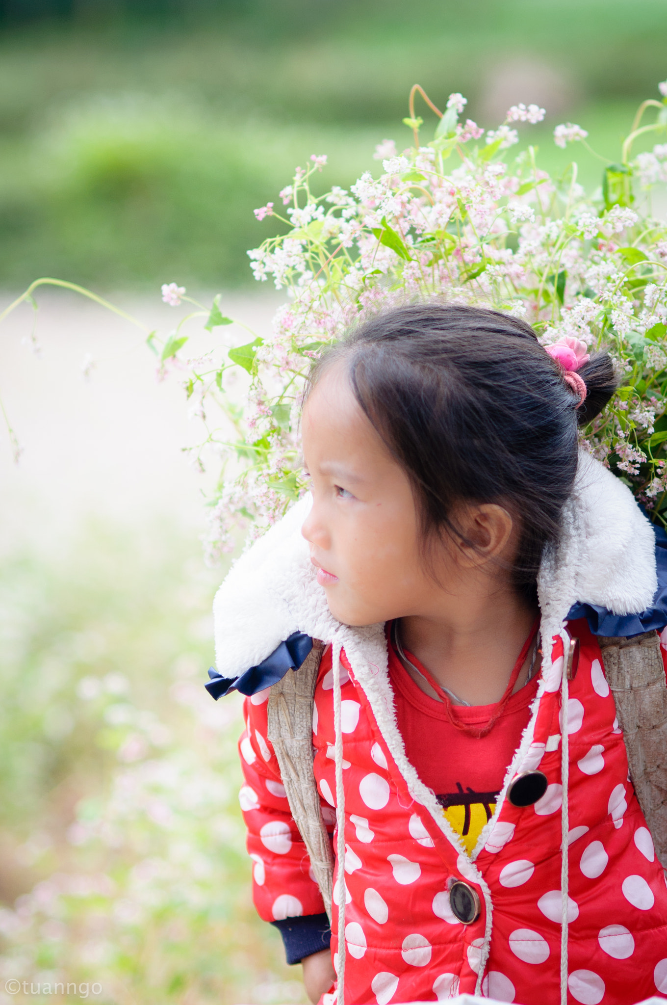 AF Nikkor 85mm f/1.8 sample photo. Ha giang little girl photography