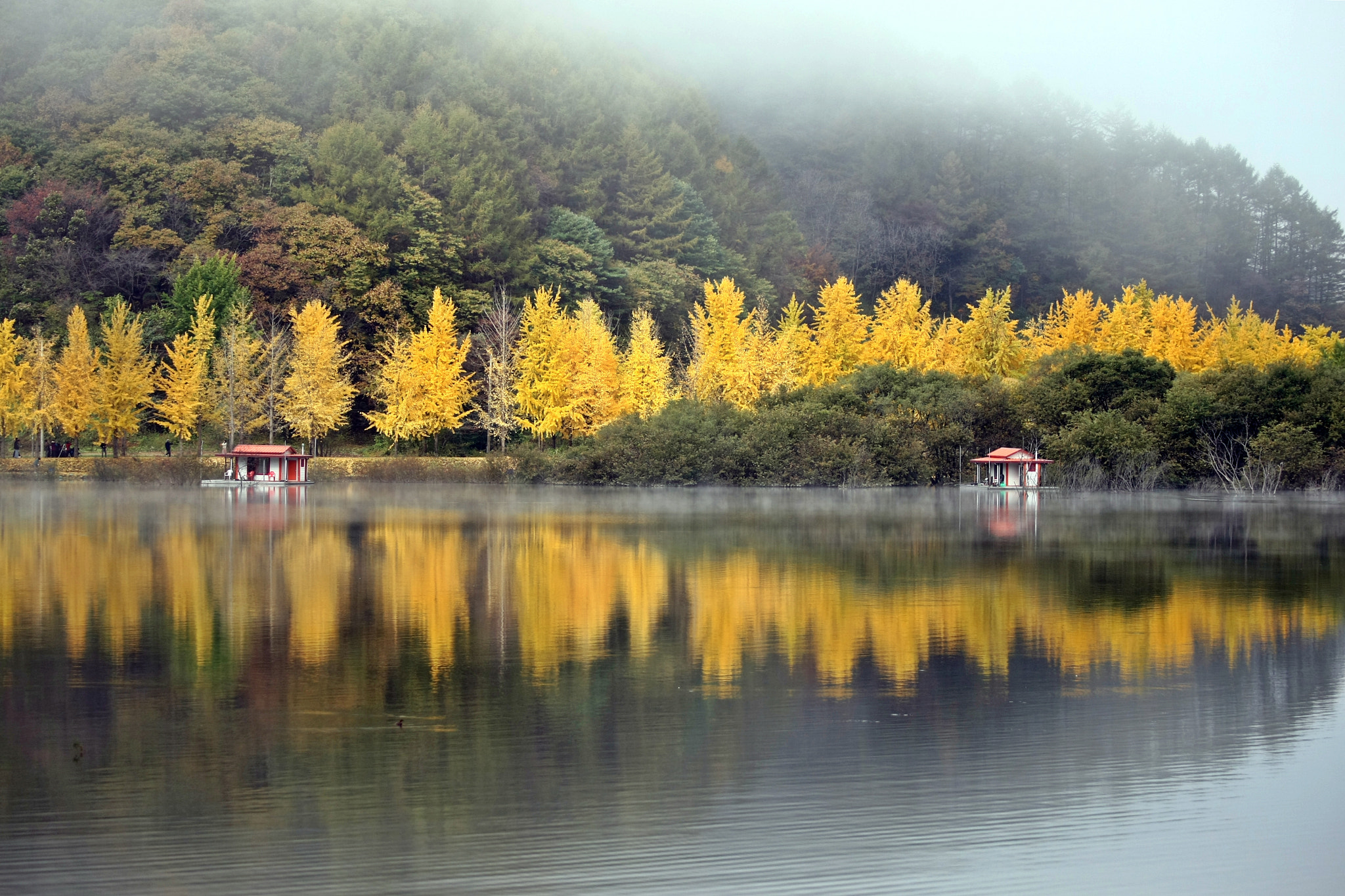 Canon EF 80-200mm f/2.8L sample photo