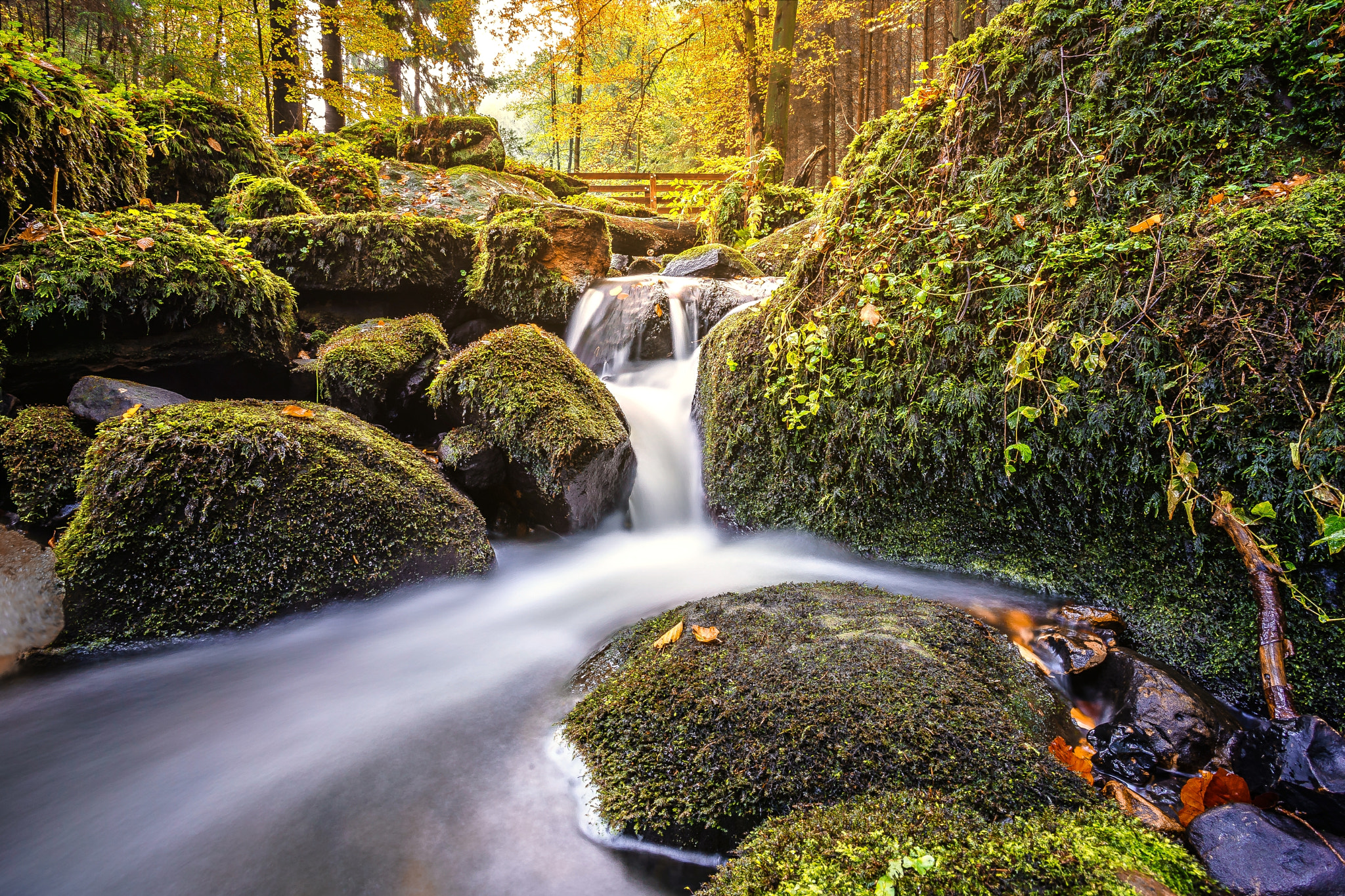 Sony a7 II + Canon EF 17-40mm F4L USM sample photo. Silberbachtal in the autumn  photography