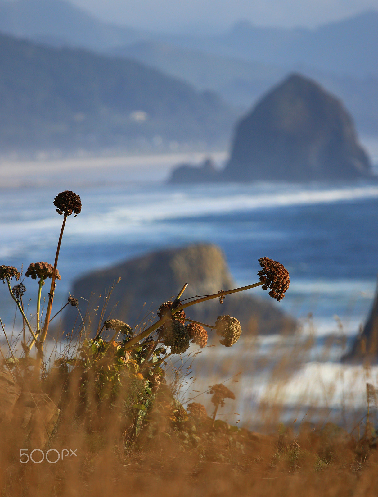 Canon EF 70-200mm F4L IS USM sample photo. In the distance -ecola state park, cannon beach photography