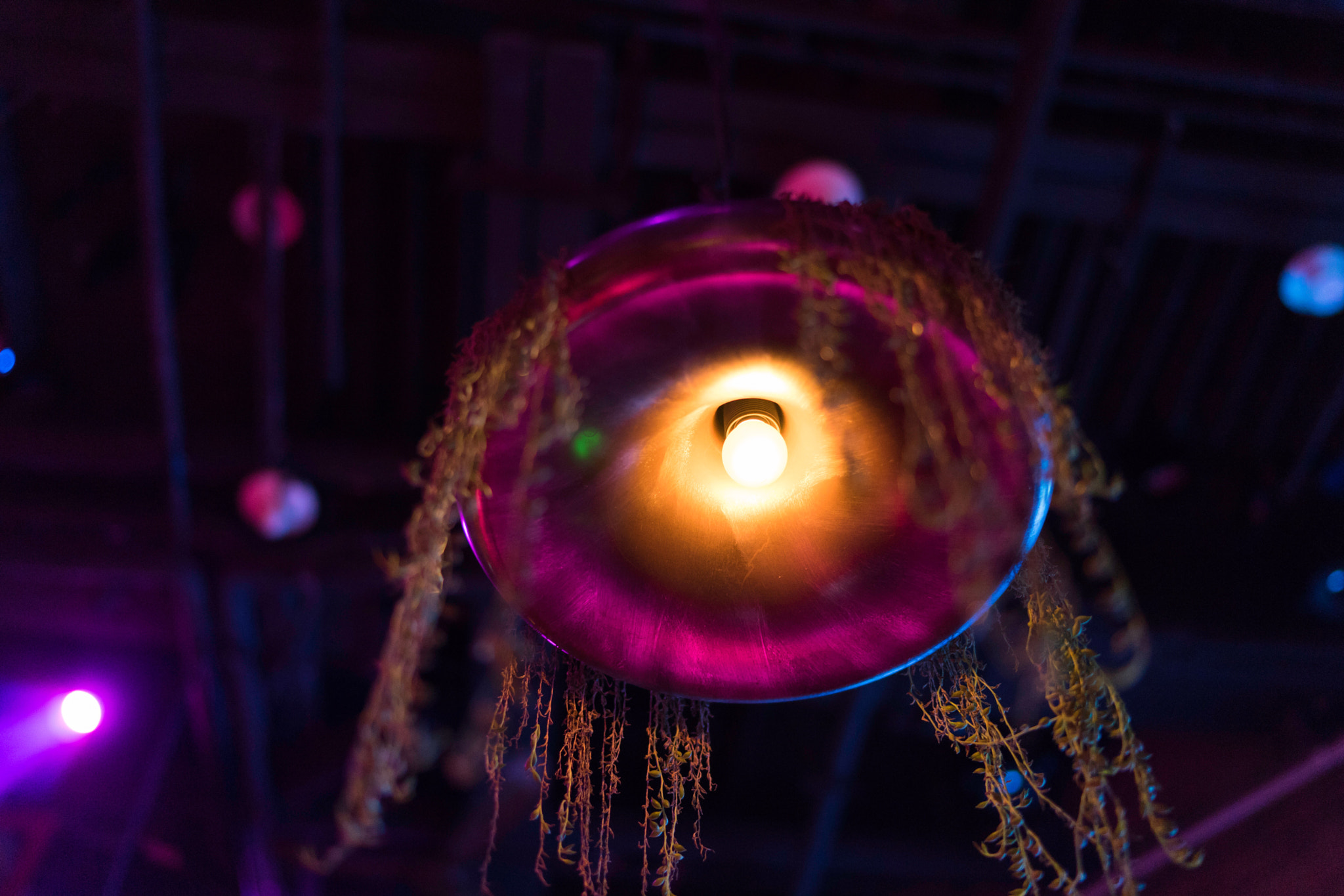 Sony a7 + Sony Distagon T* FE 35mm F1.4 ZA sample photo. Which one do u prefer? photography