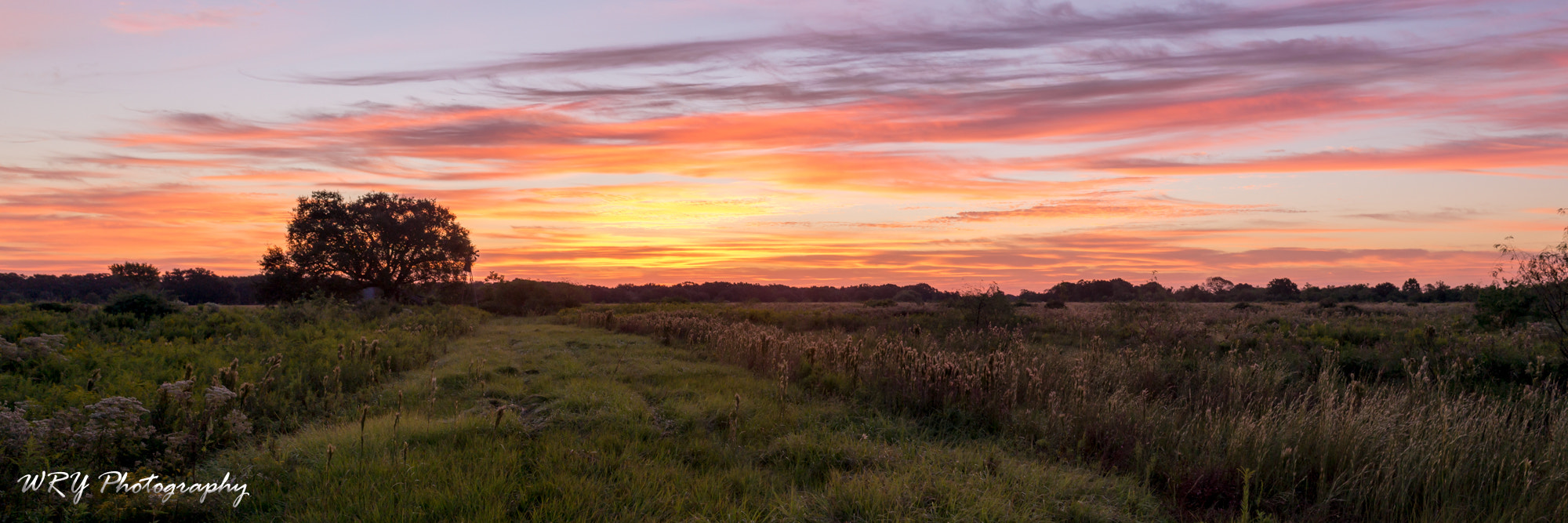 Nikon D800E + Nikon AF Nikkor 35mm F2D sample photo. Prairie sunrise photography