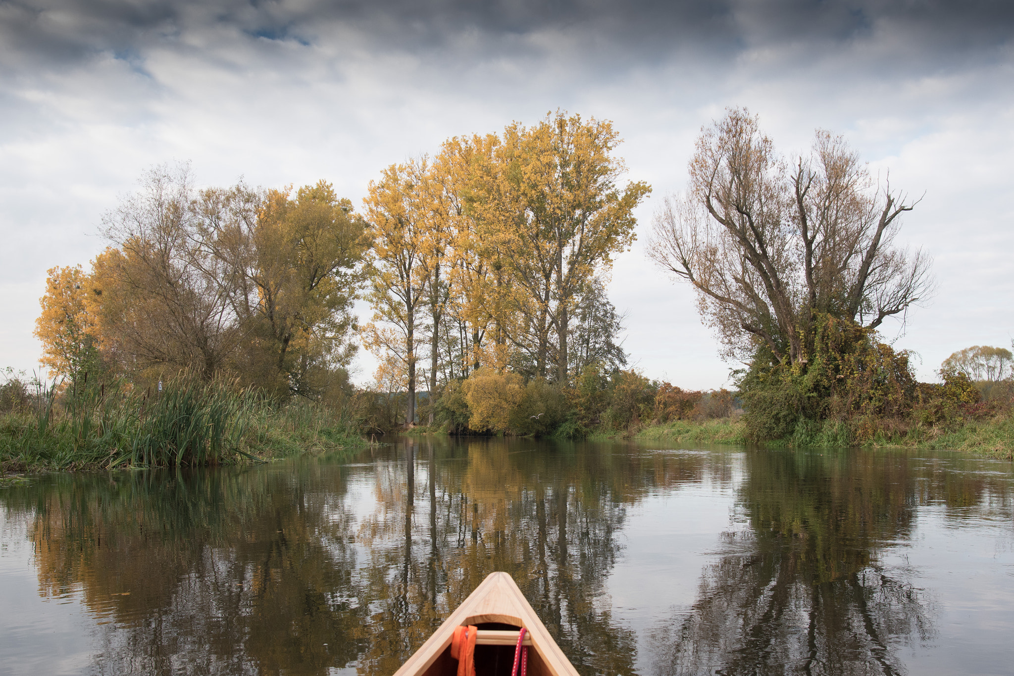 Nikon D5500 sample photo. Kanu herbsttour auf der spree photography