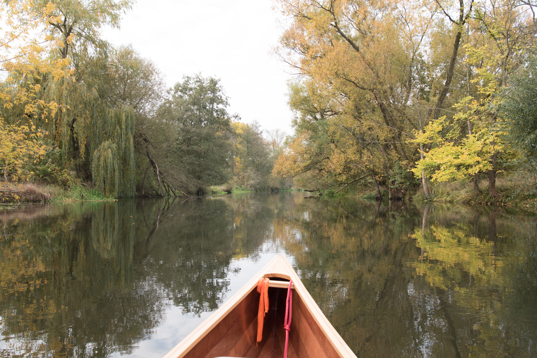 Nikon D5500 + Nikon AF-S Nikkor 20mm F1.8G ED sample photo. Kanu herbsttour auf der spree photography