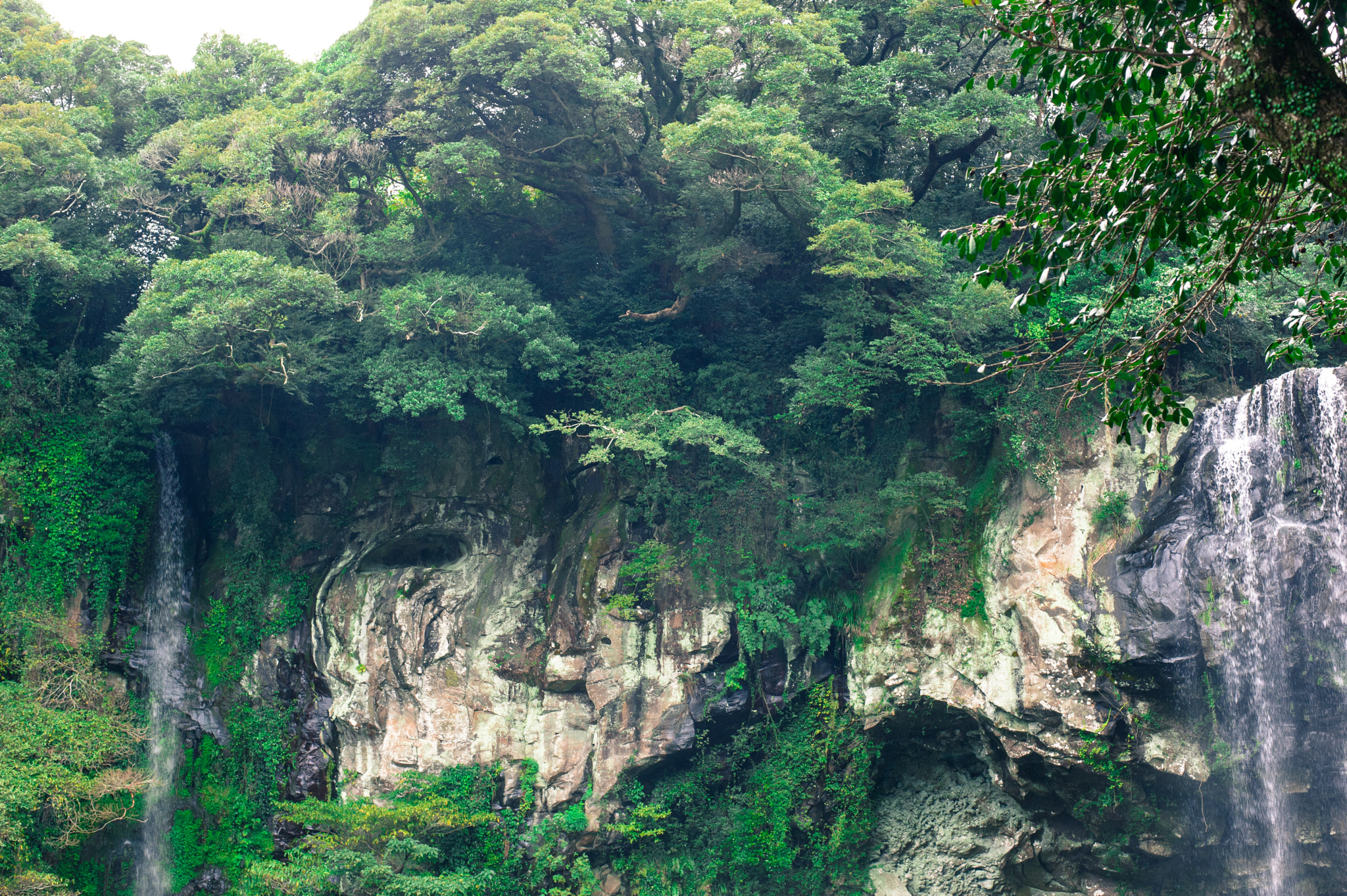 Nikon D3S + Nikon AF-S Nikkor 50mm F1.8G sample photo. Nature of korea photography