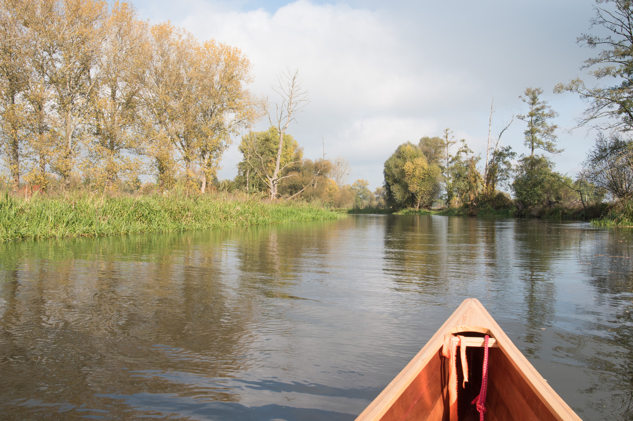 Nikon D5500 + Nikon AF-S Nikkor 20mm F1.8G ED sample photo. Kanu herbsttour auf der spree photography