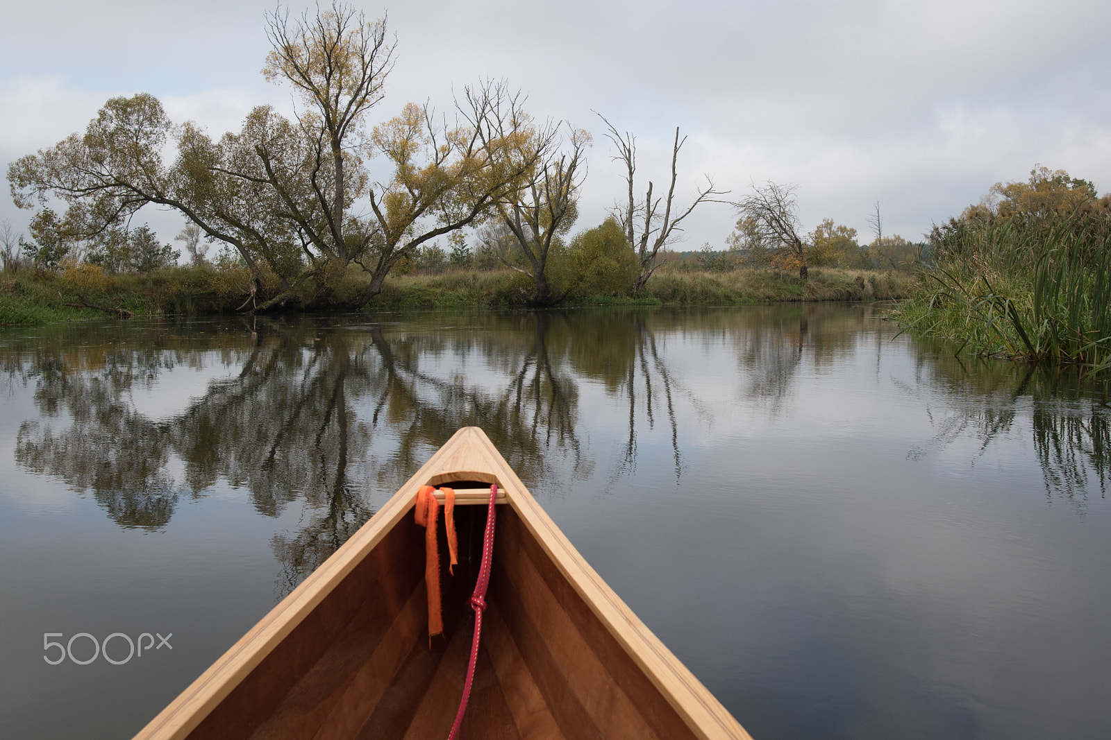 Nikon D5500 sample photo. Kanu herbsttour auf der spree photography