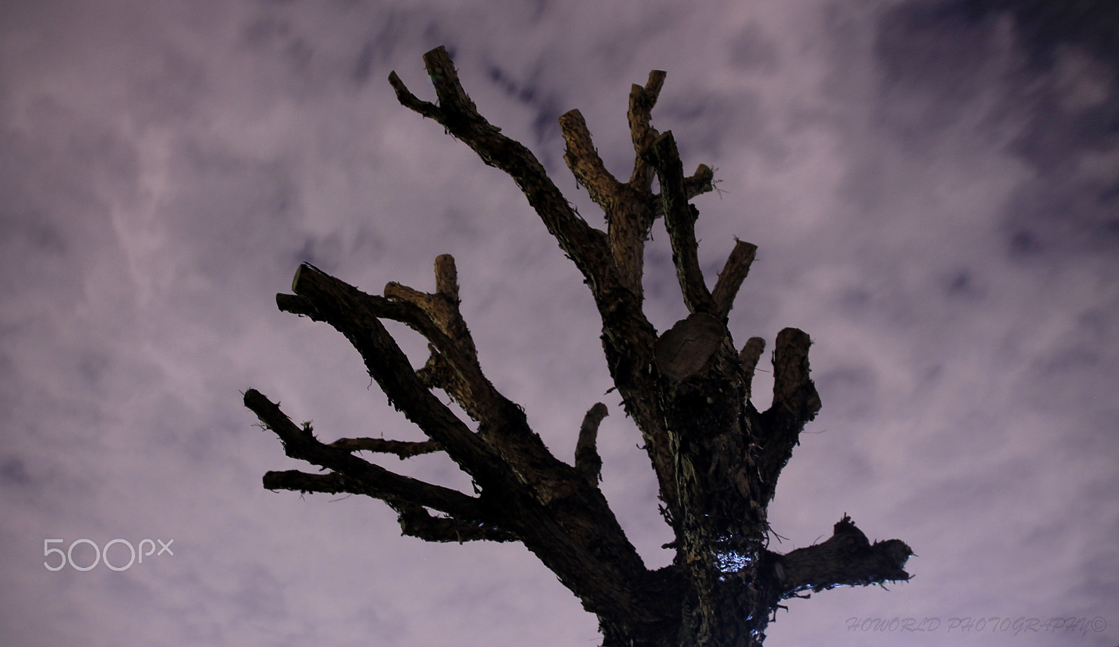 Canon EOS 1100D (EOS Rebel T3 / EOS Kiss X50) sample photo. Eerie photography