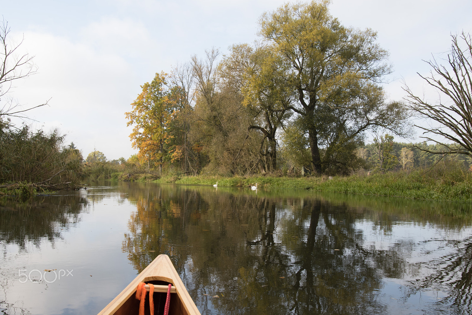 Nikon D5500 sample photo. Kanu herbsttour auf der spree photography