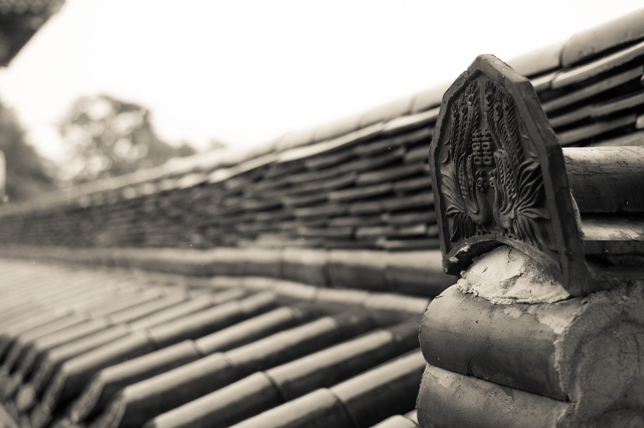 Nikon D3S + Nikon AF-S Nikkor 50mm F1.8G sample photo. Temple roof and vanishing point photography