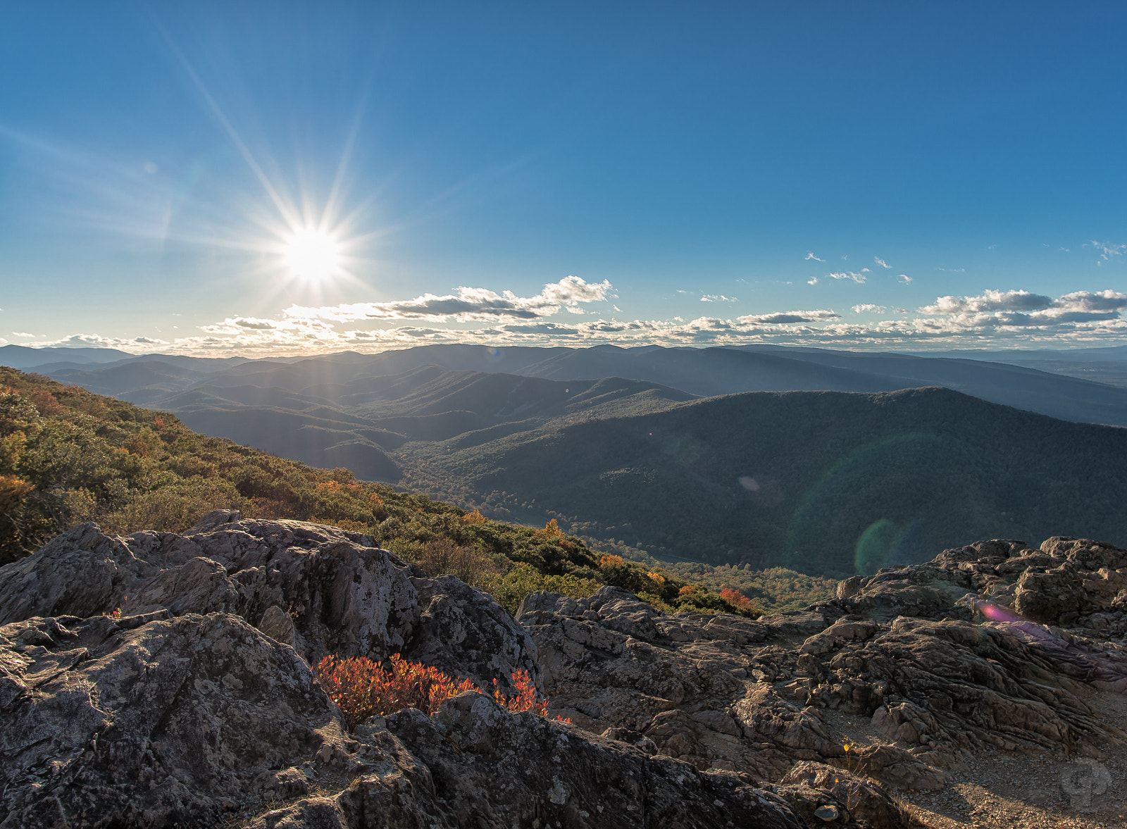 Nikon D600 + Nikon AF-S Nikkor 20mm F1.8G ED sample photo. Raven's roost photography