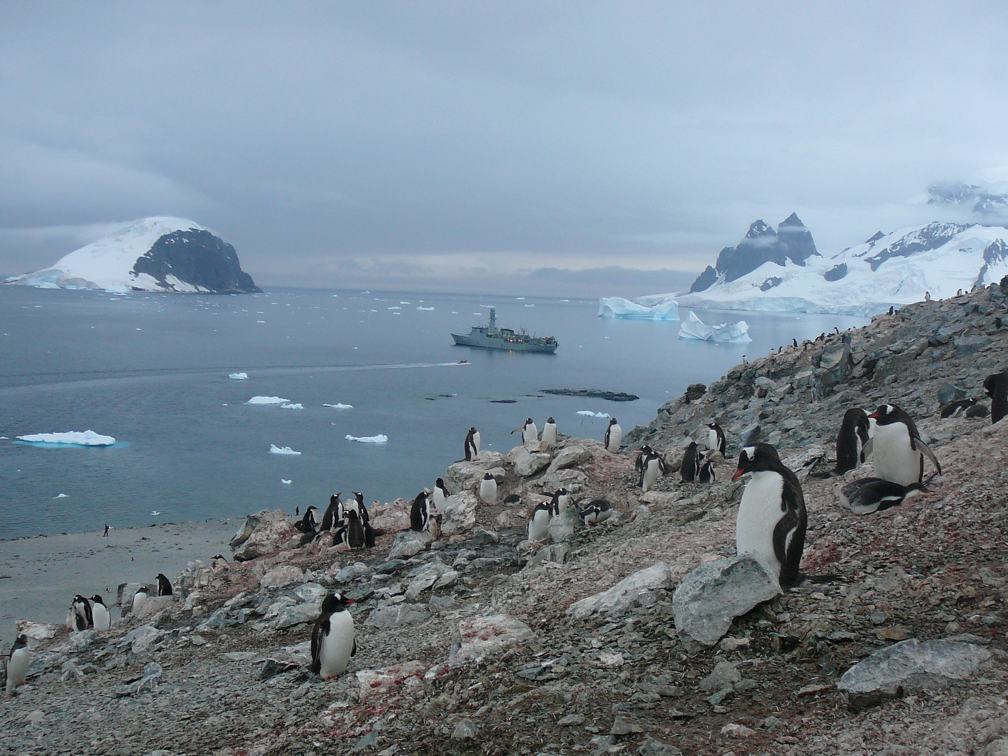 Panasonic DMC-TZ1 sample photo. Antarctica photography