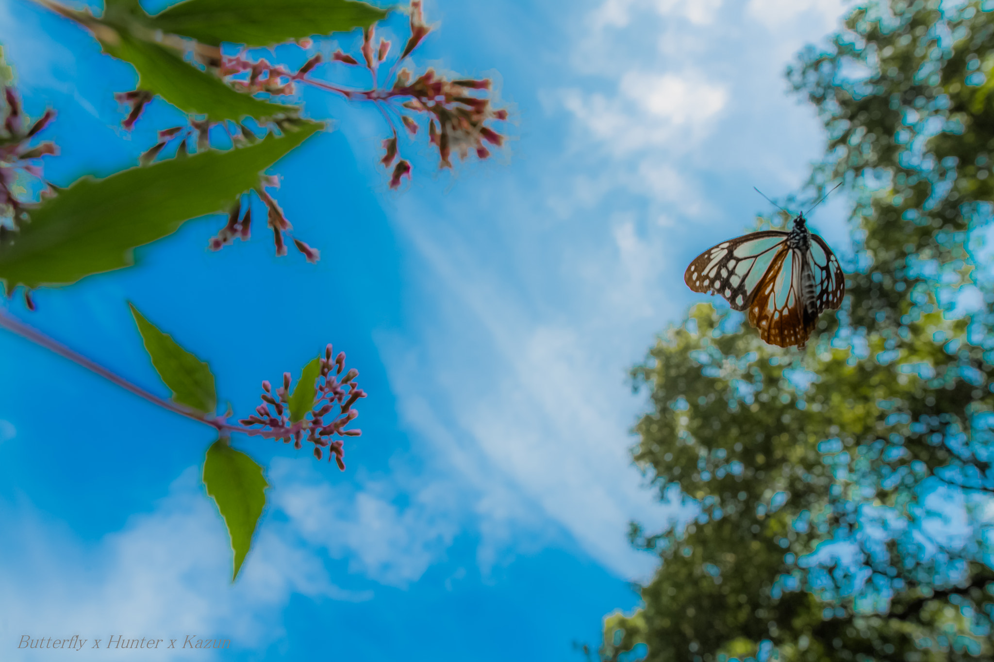 Nikon D5 + Sigma 24mm F1.8 EX DG Aspherical Macro sample photo. Flying! photography