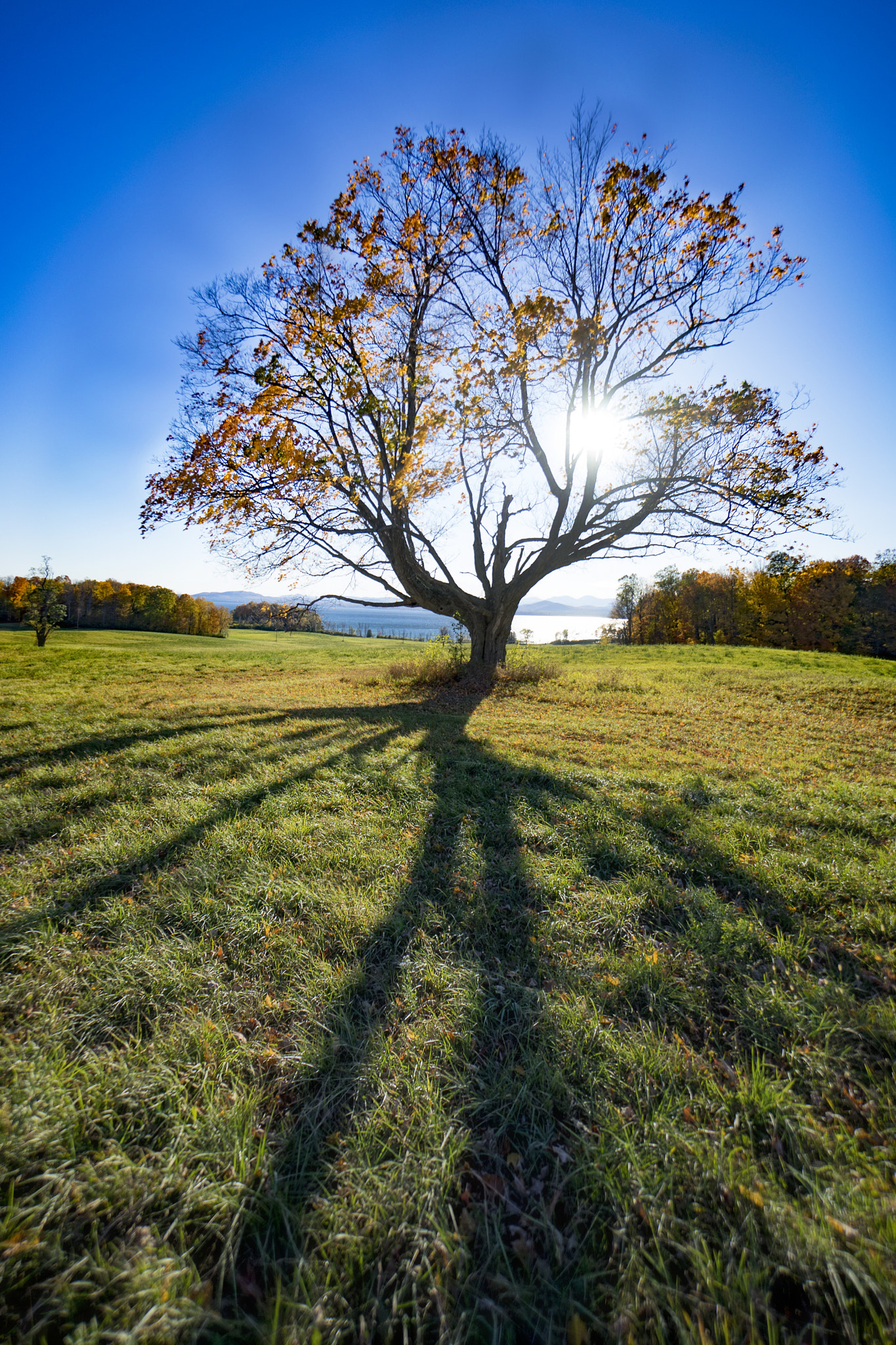 Sony a7 + Sony E 10-18mm F4 OSS sample photo. End of season photography