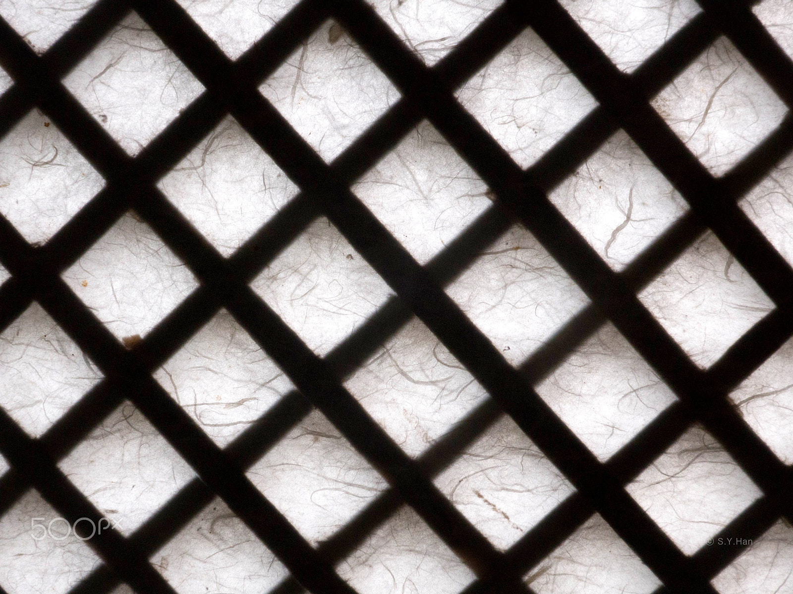 Leica C (Typ 112) sample photo. Lattice door (4) photography