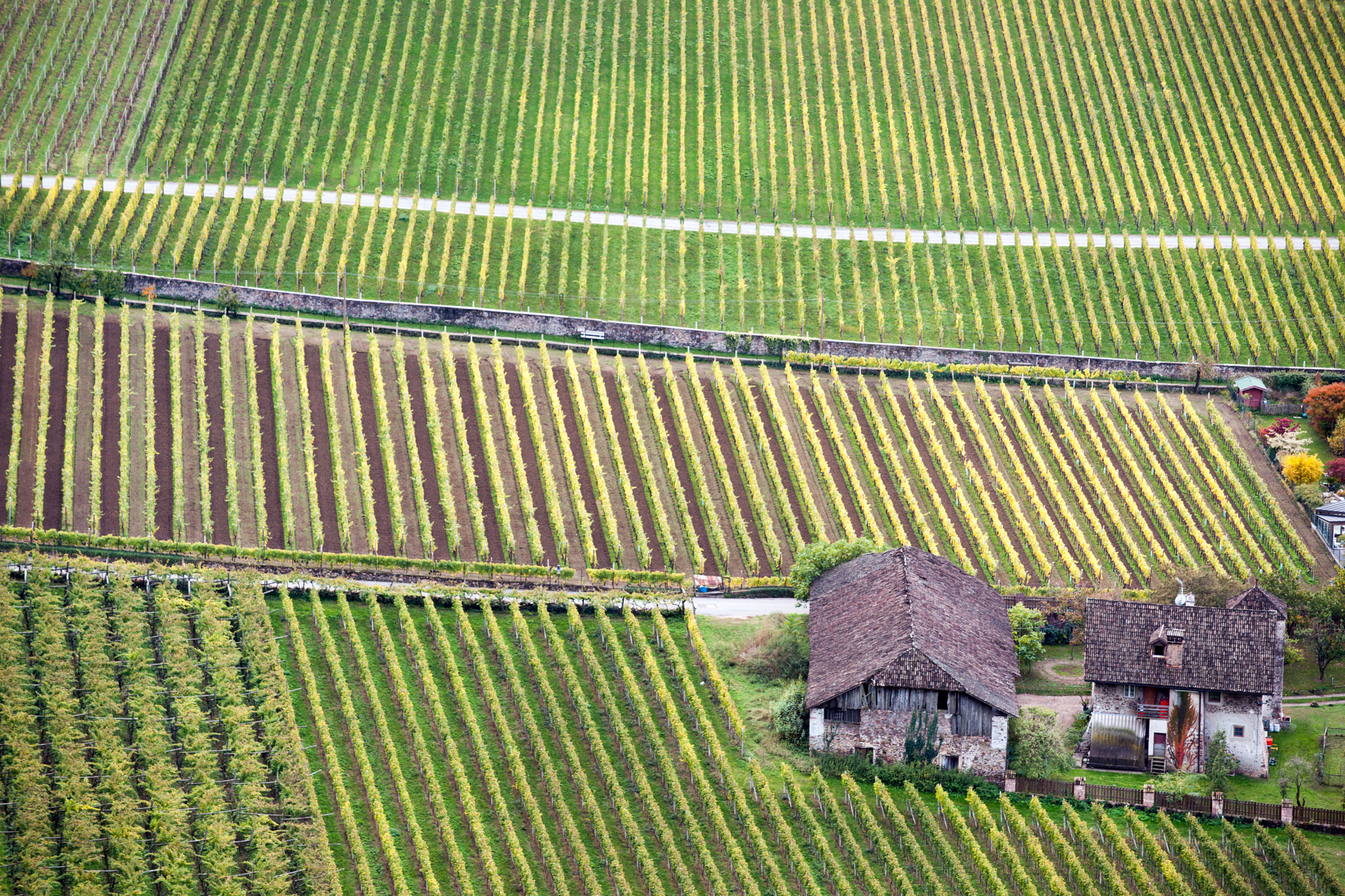 Minolta/Sony AF 70-200mm F2.8 G sample photo. The best vineyards photography