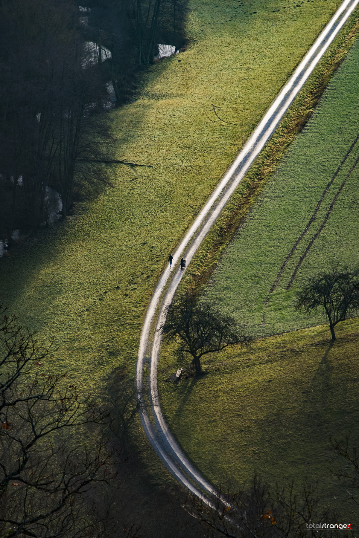 Fujifilm X-E1 + Fujifilm XF 18-135mm F3.5-5.6 R LM OIS WR sample photo. A walk photography